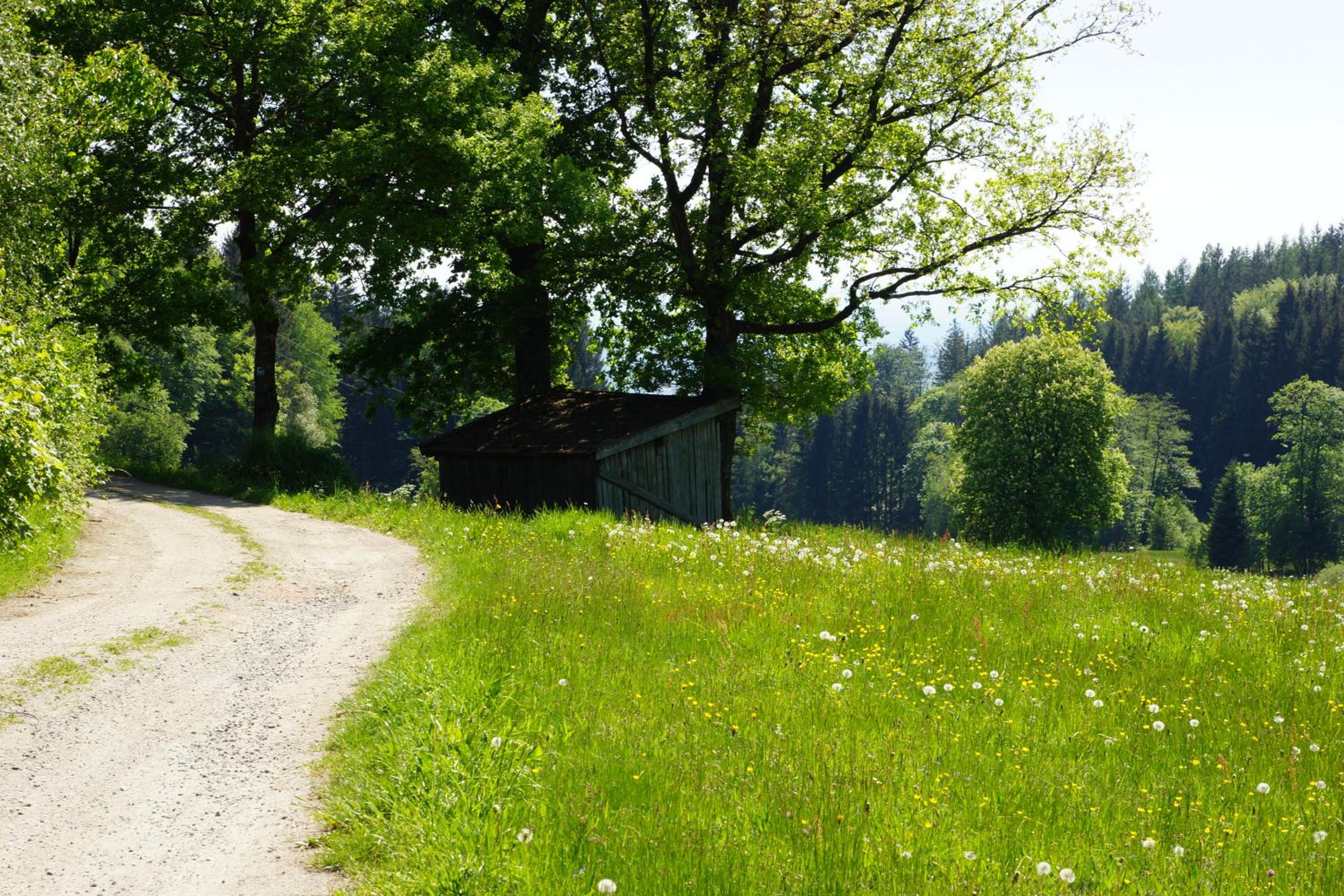 Ferienwohnungen Paukner