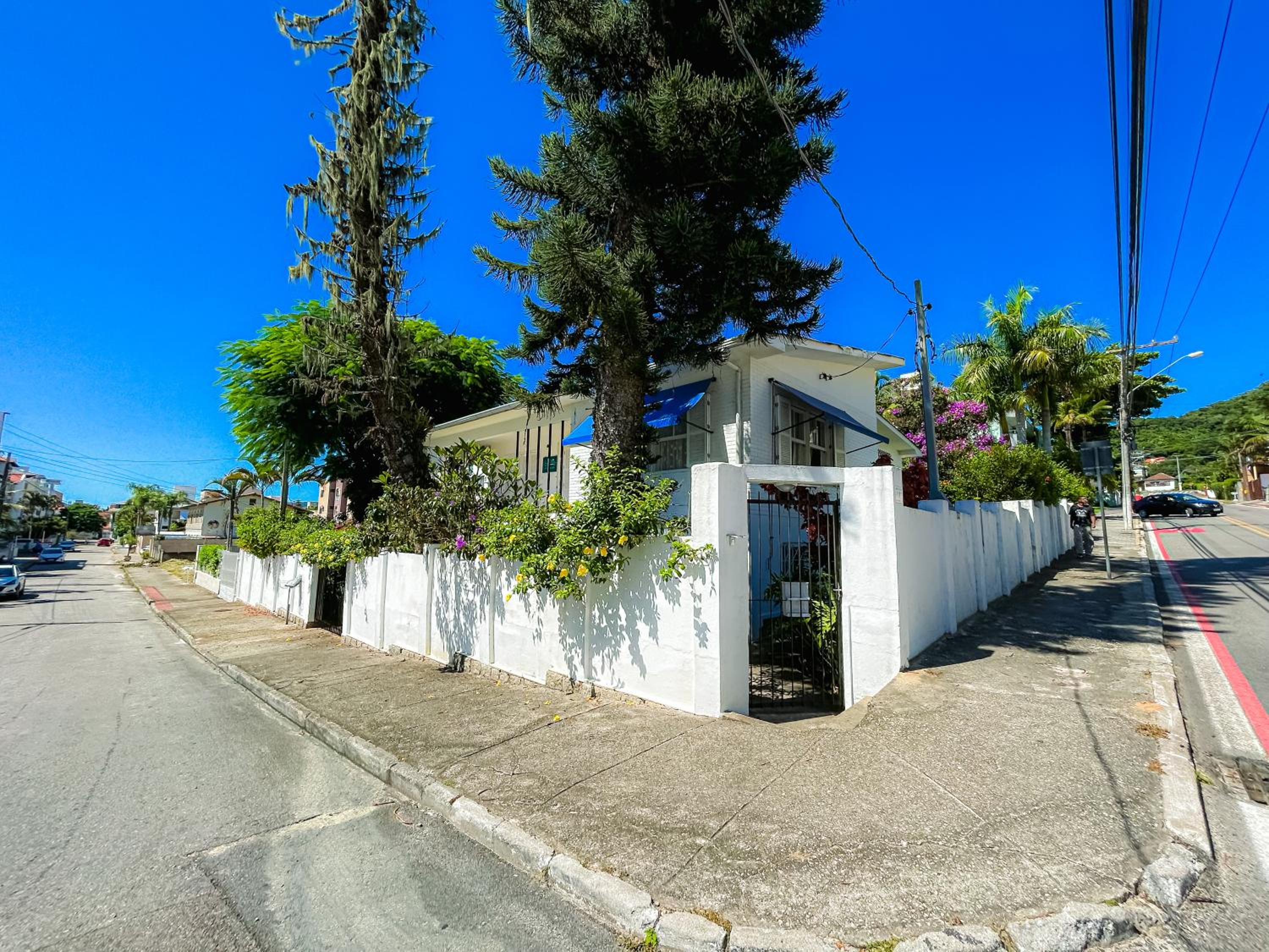A Primeira Vista