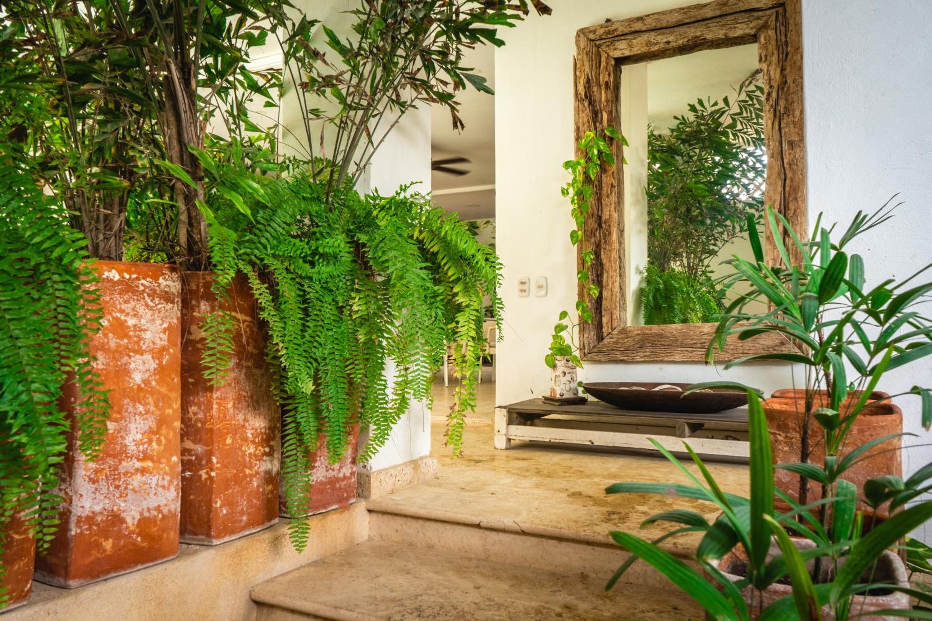 Casa Mangle, Jacuzzi + Piscina privada. 25 mts del Mar