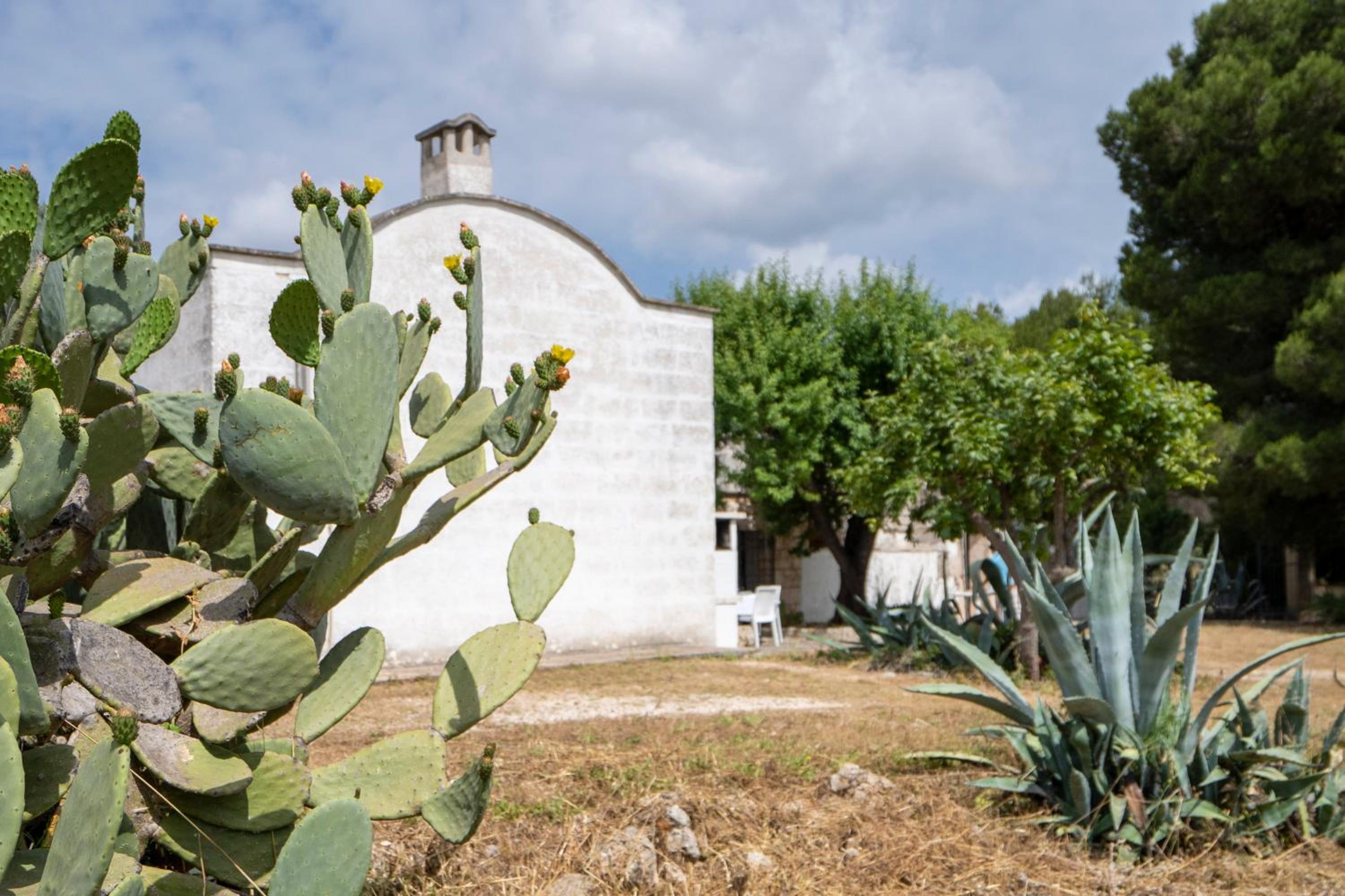 Trullo Giovanni