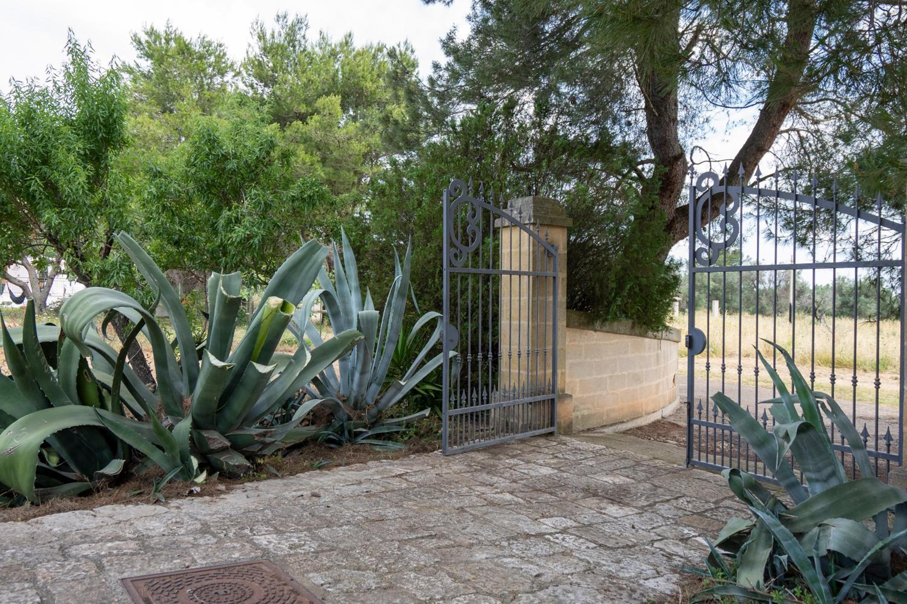 Trullo Giovanni