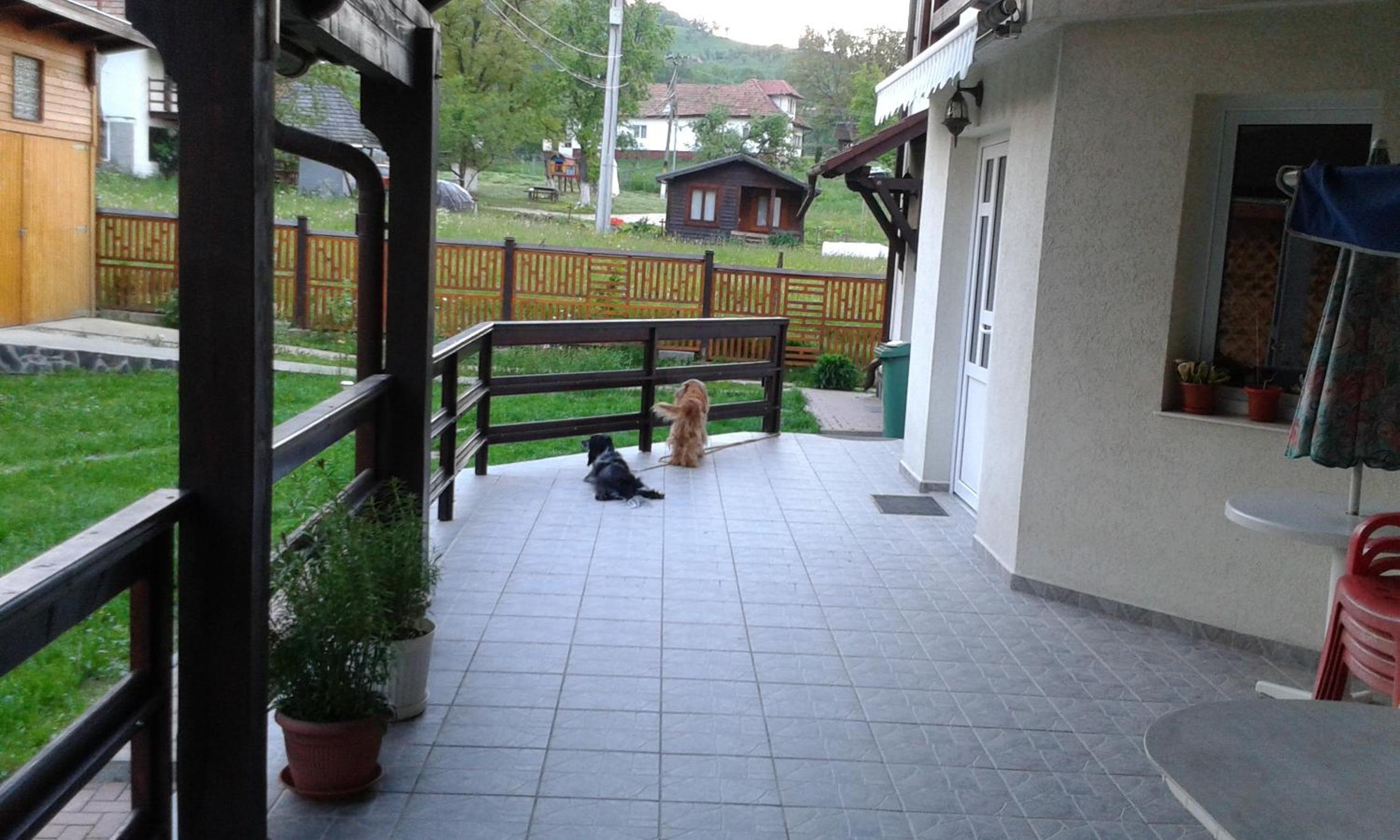 Photo 43