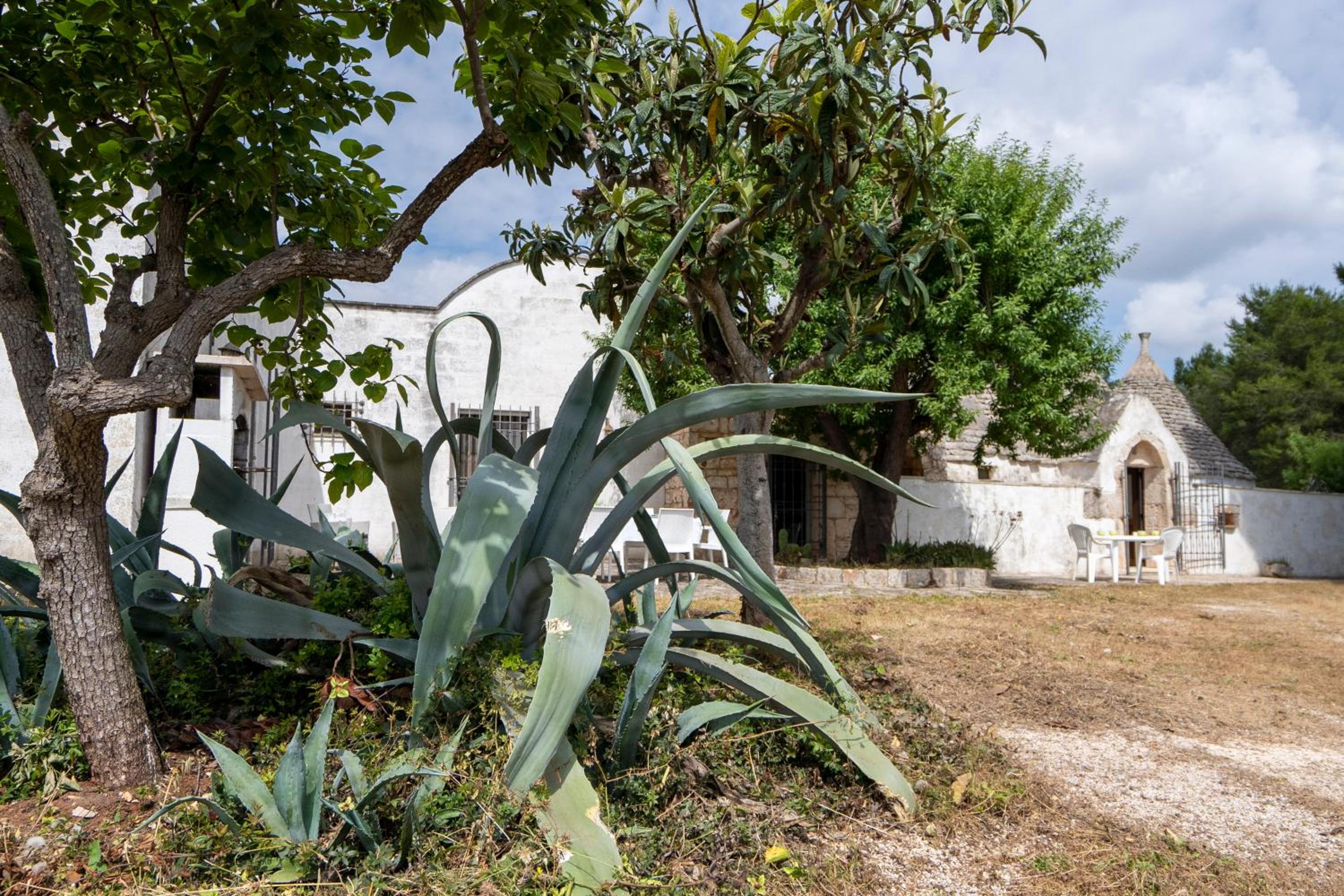 Trullo Giovanni
