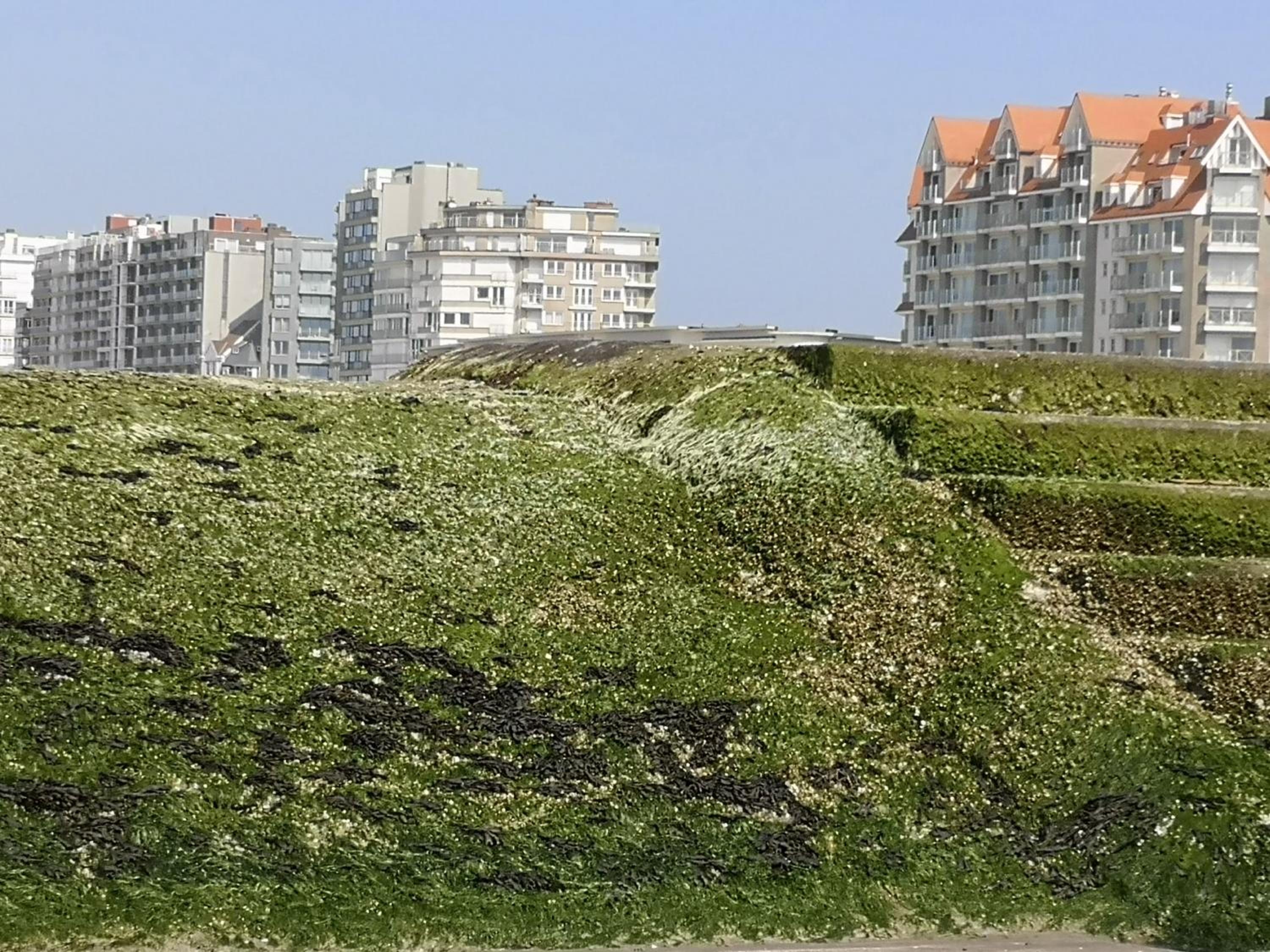 Westeinders Sea View