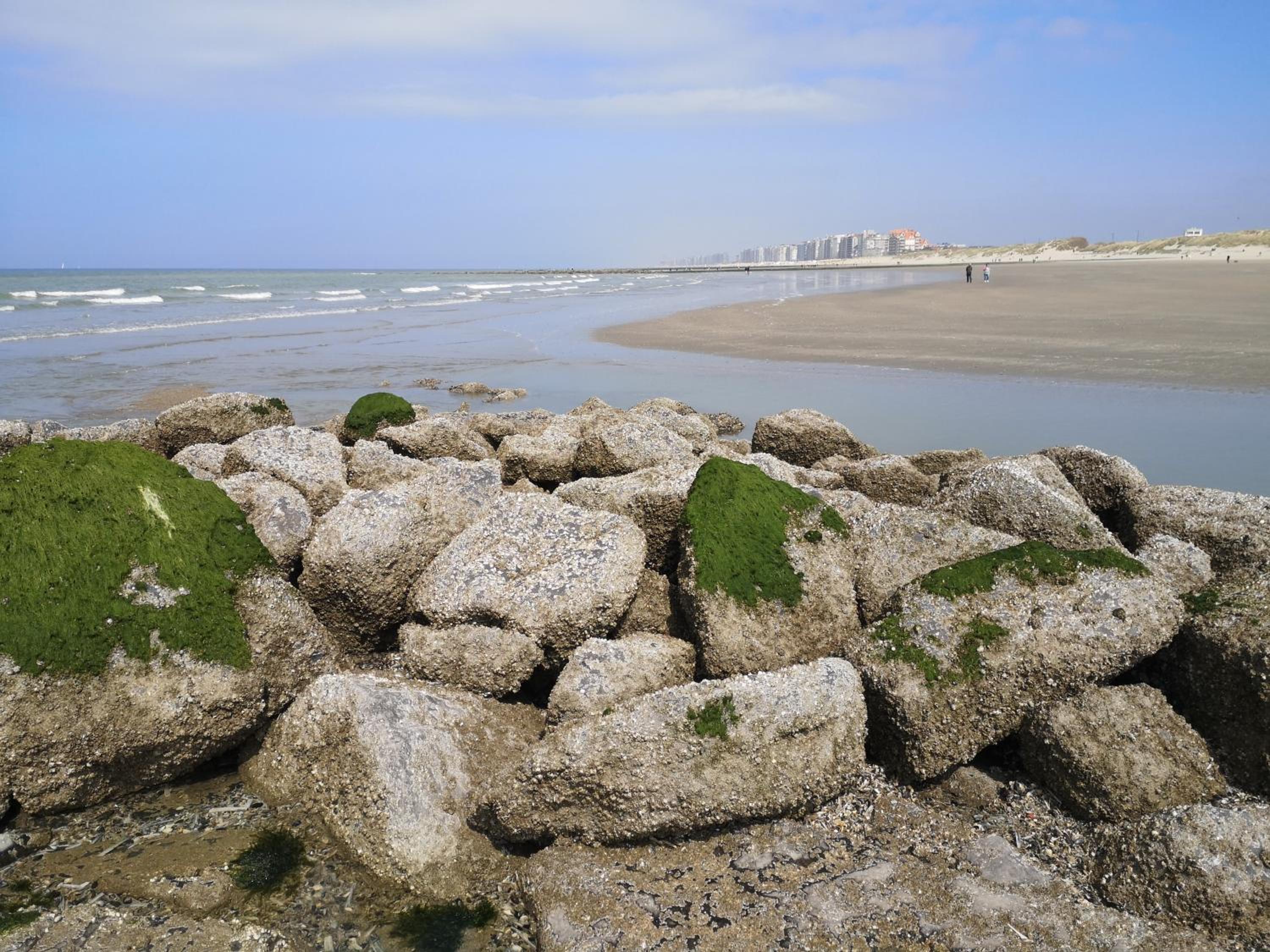 Westeinders Sea View