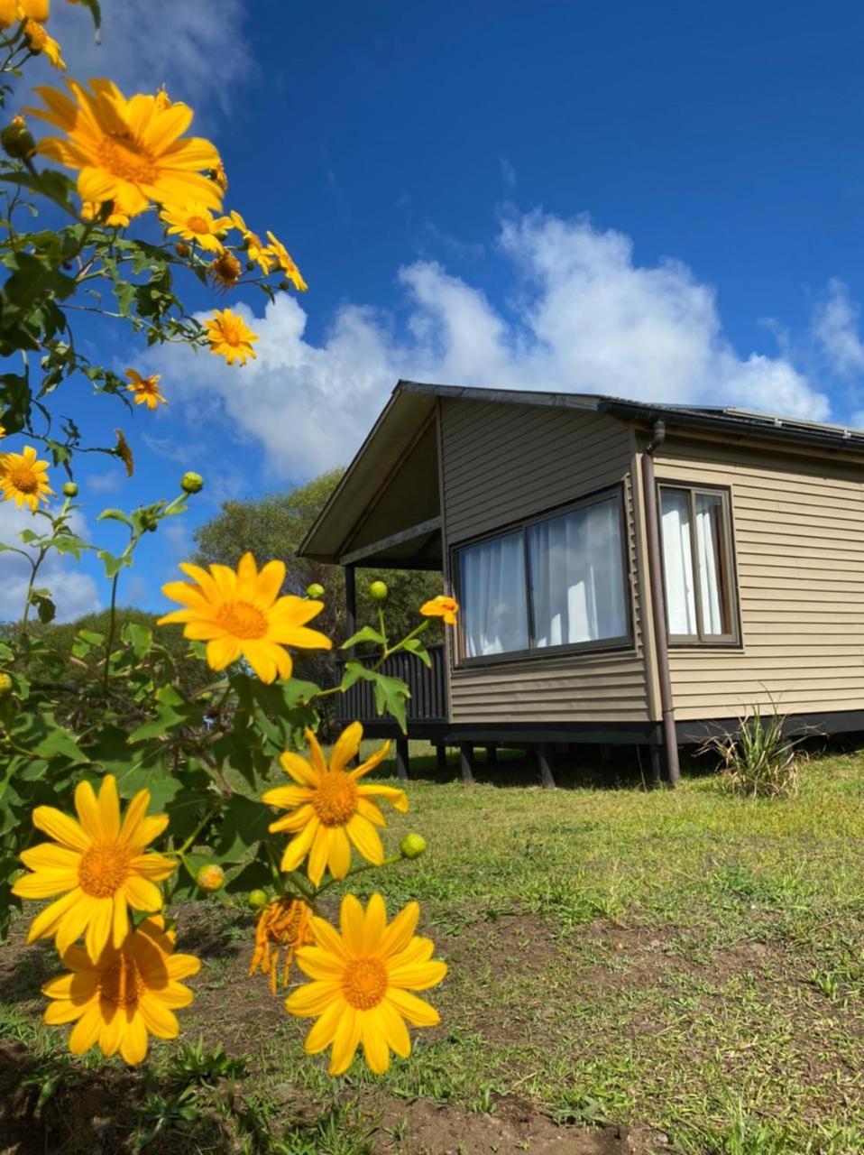 Maunga Roa Eco Lodge
