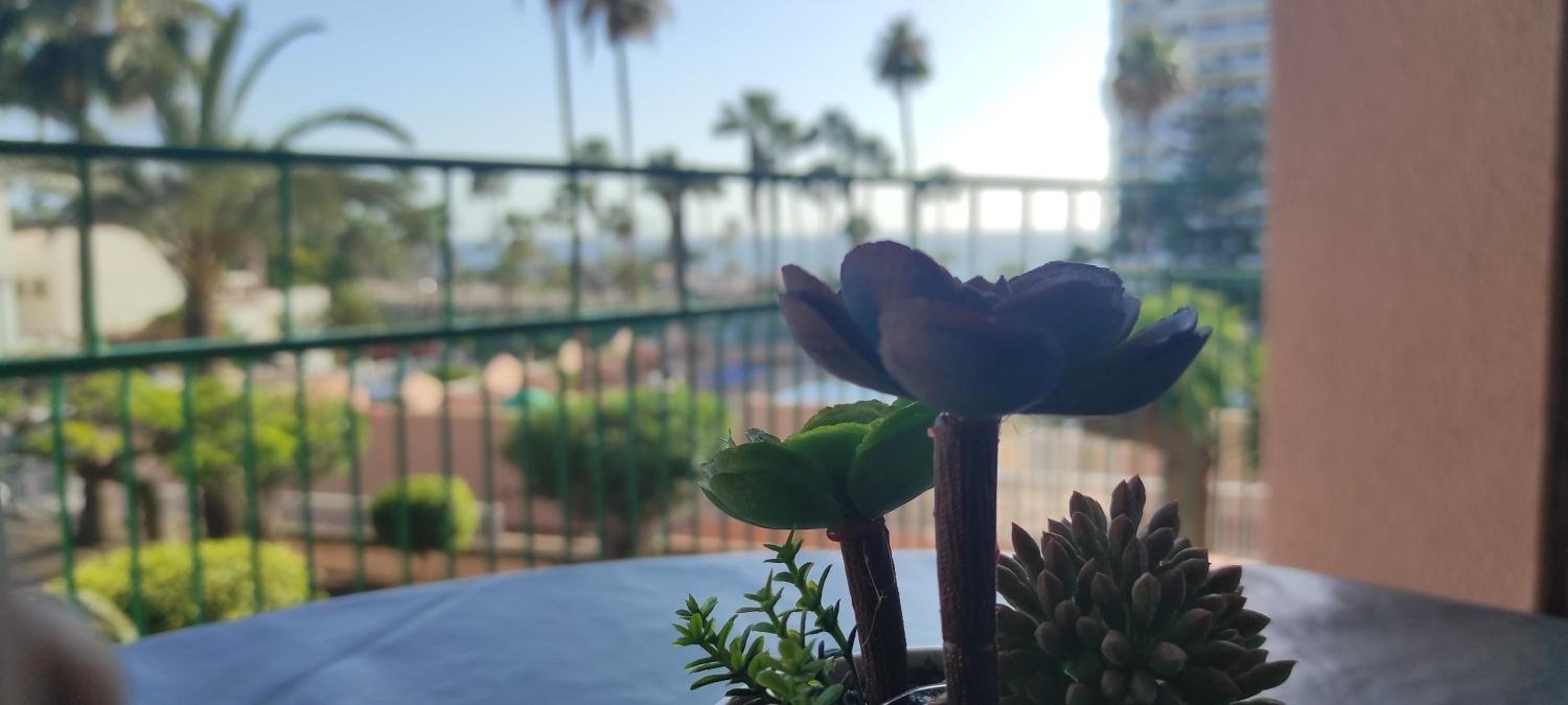 Acapulco Paradise