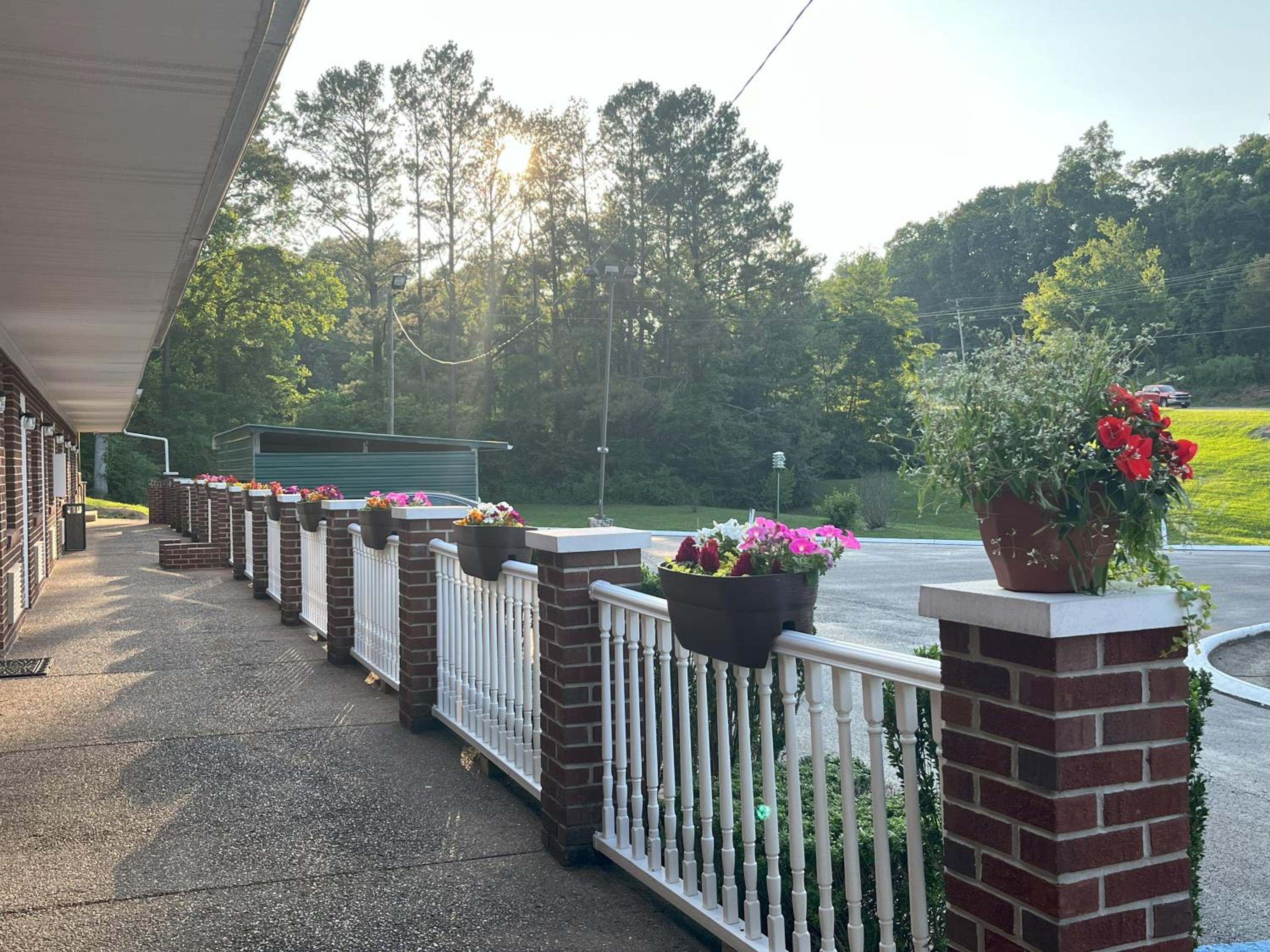 Pinetree Inn, Billede 25