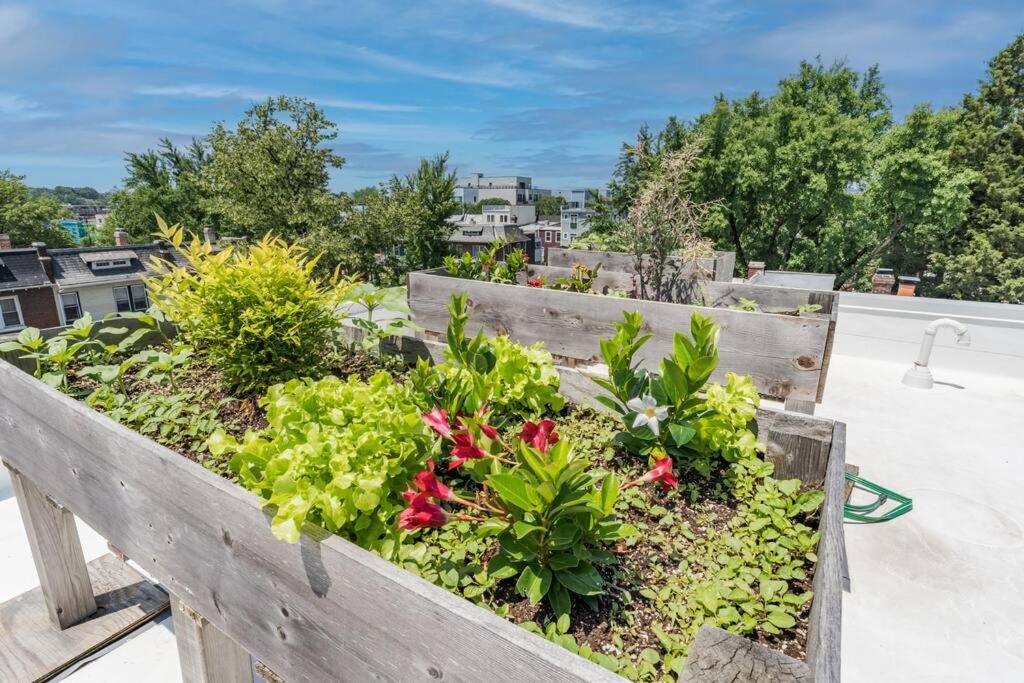 Luxe City Retreat Roof Deck Getaway view 2