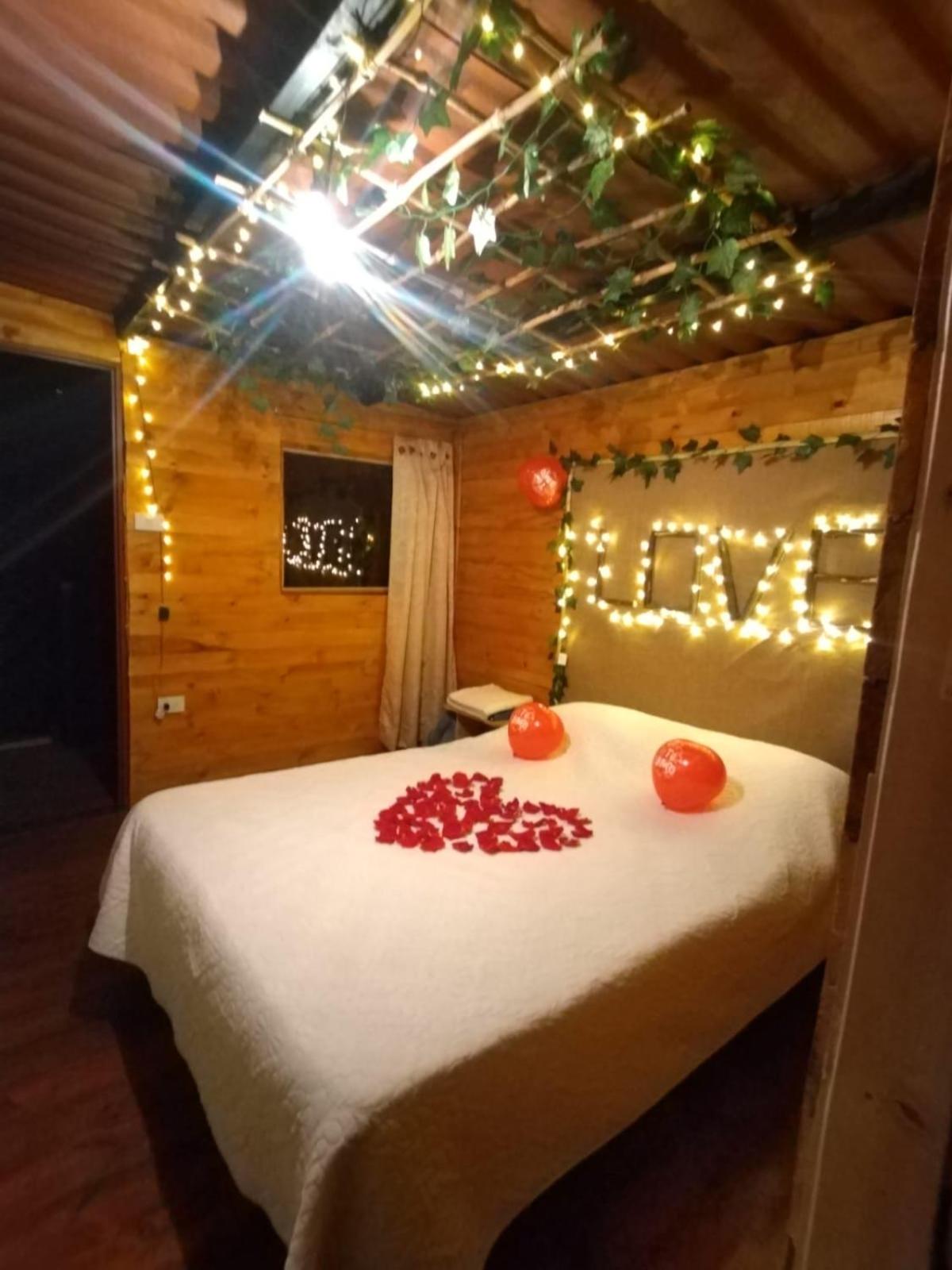 Glamping entre bosques