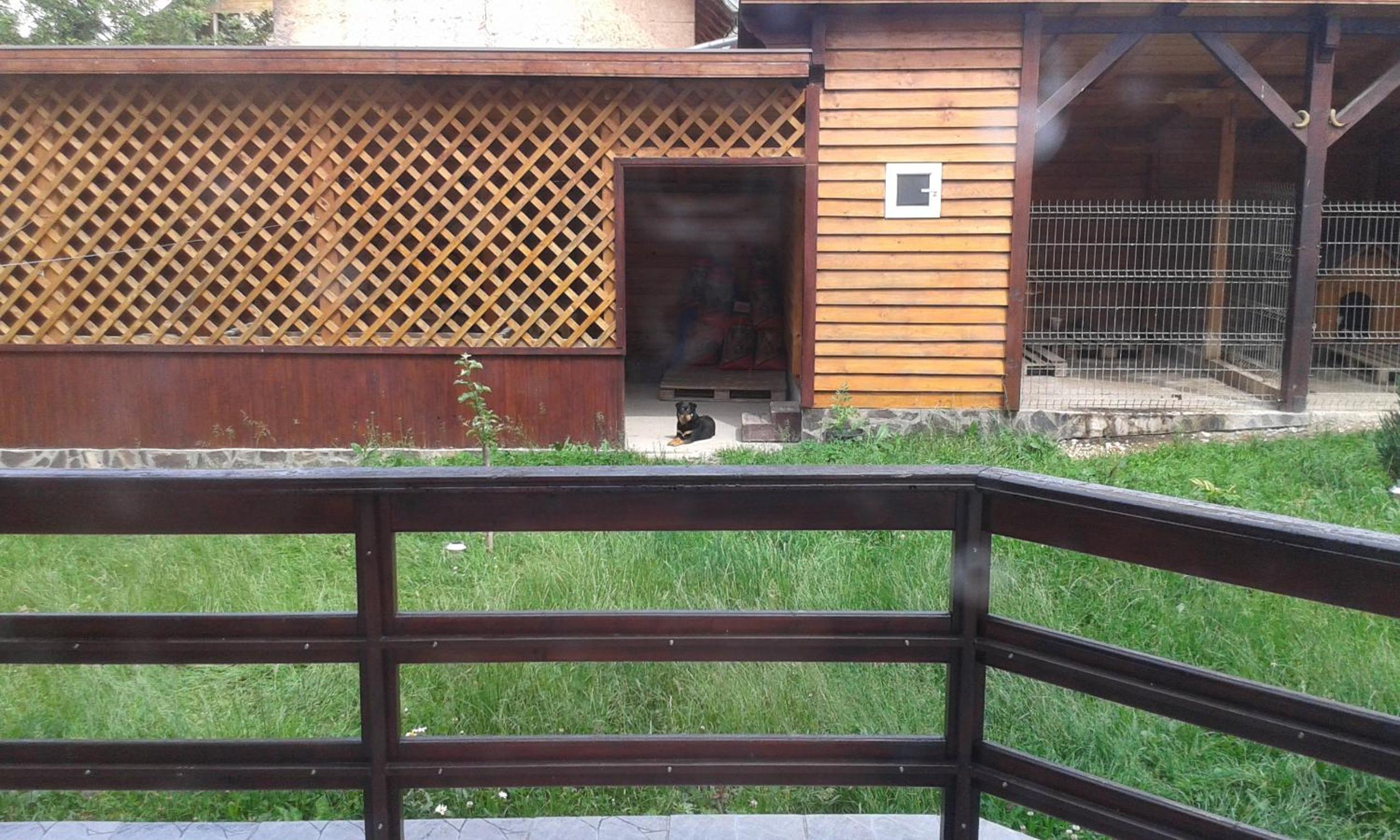 Photo 52