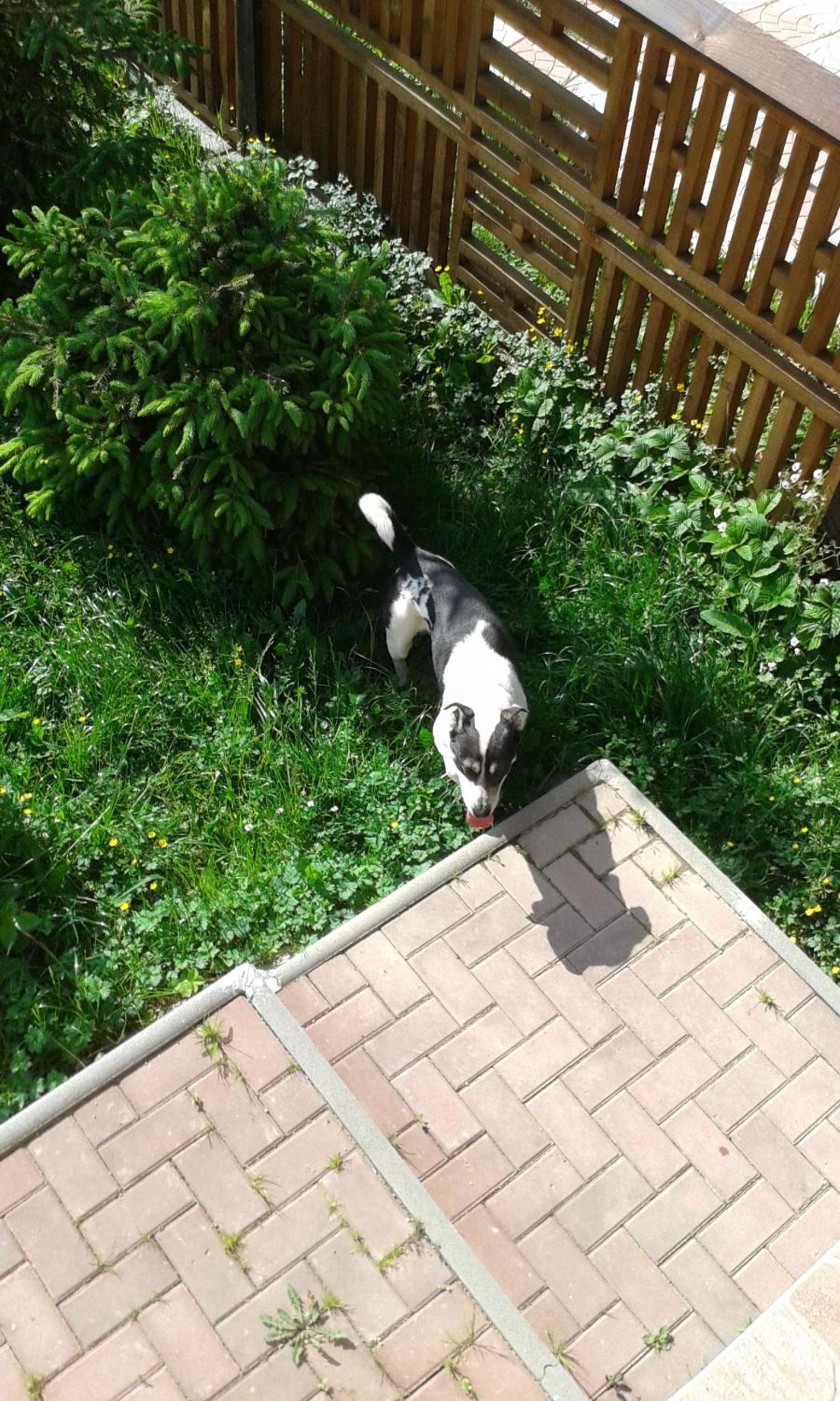 Photo 53