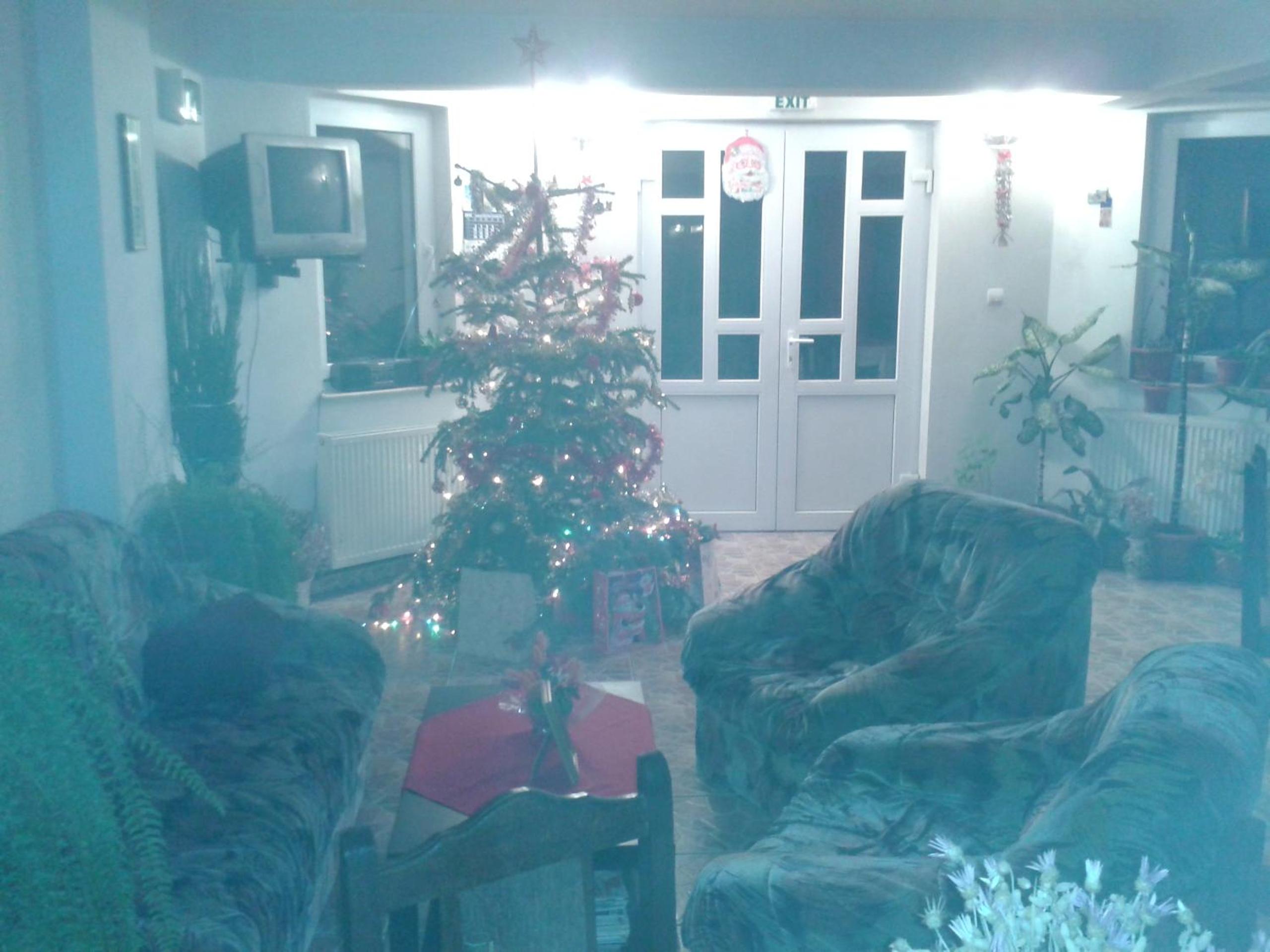 Photo 46