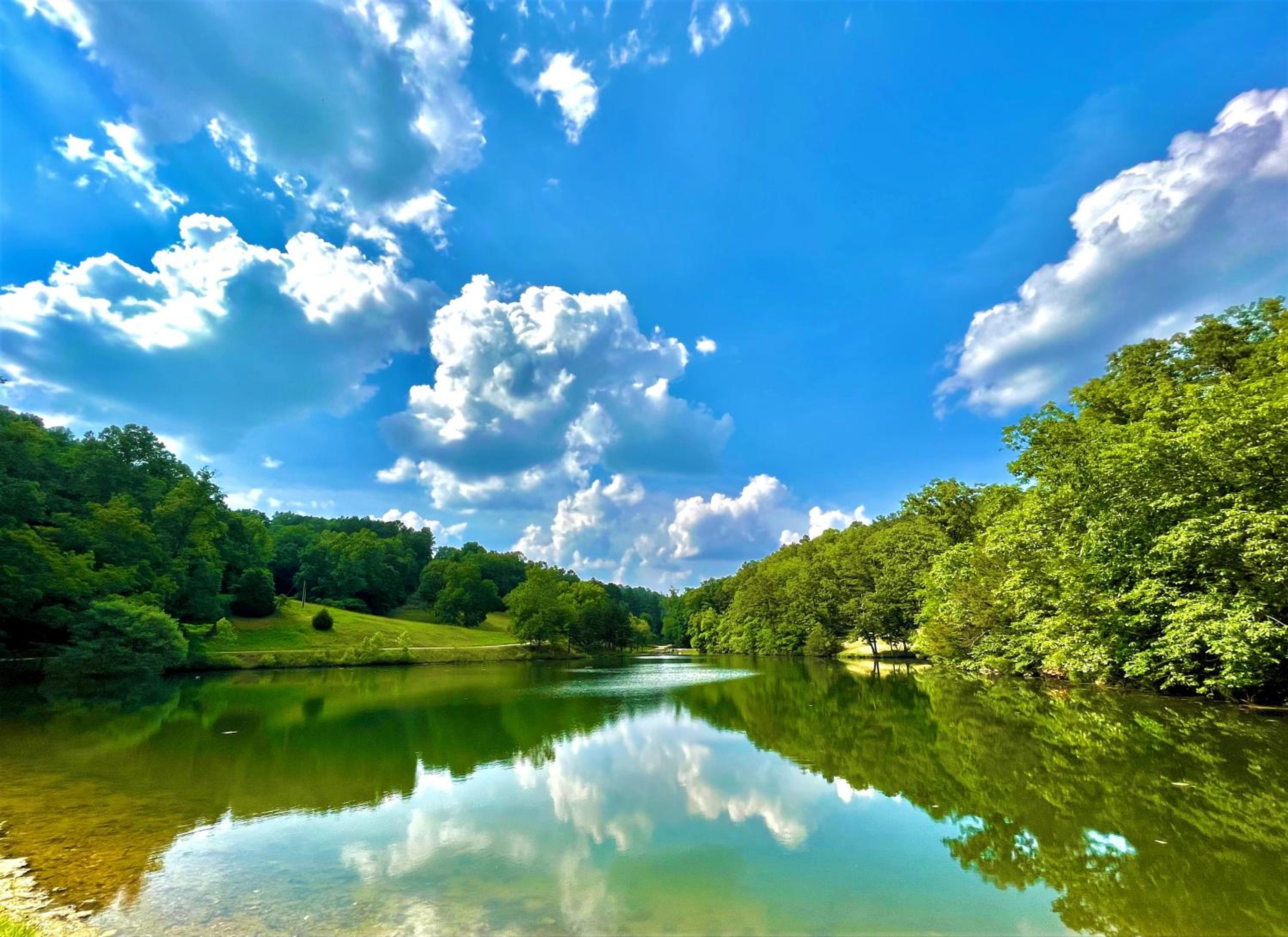 Cinnamon Valley