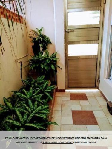 Apartamentos Magali