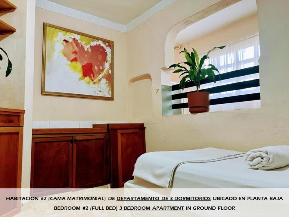 Apartamentos Magali