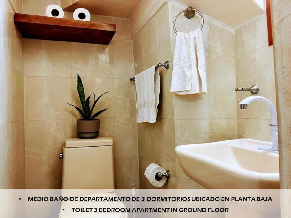 Apartamentos Magali