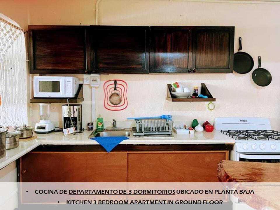 Apartamentos Magali