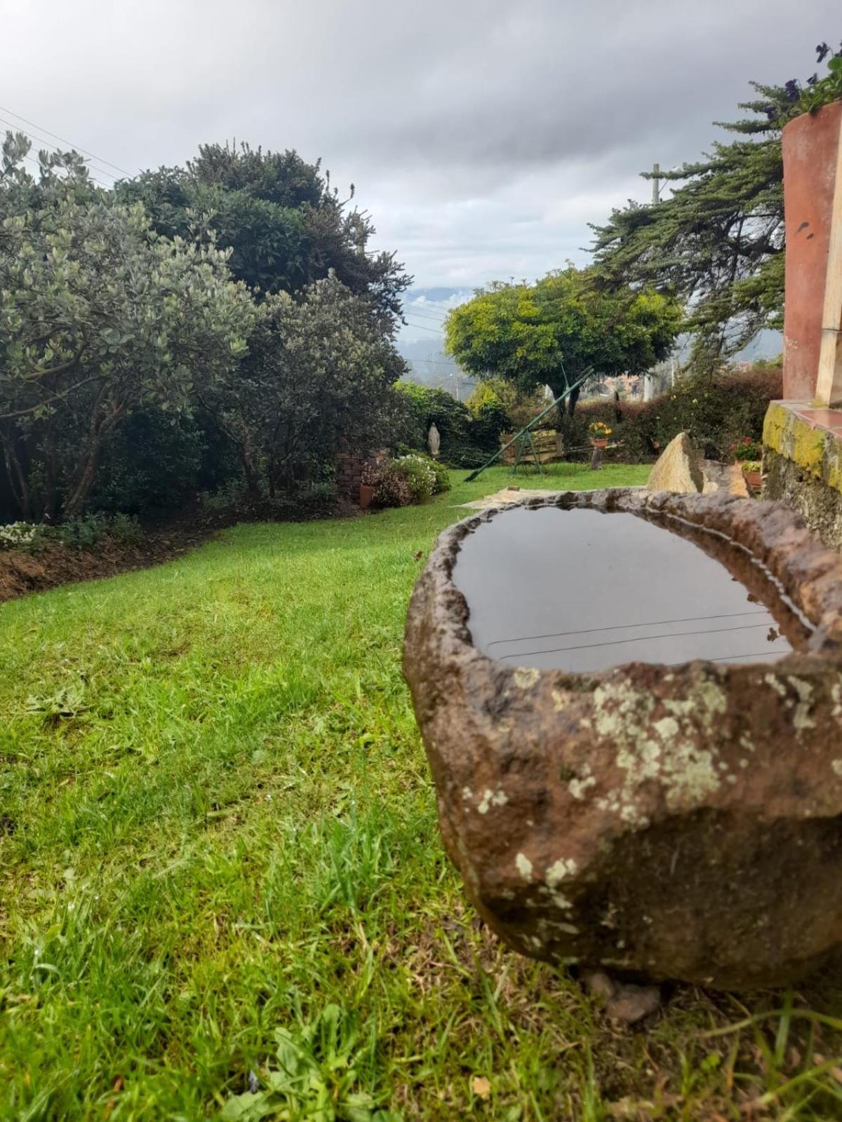 Despierte con la naturaleza