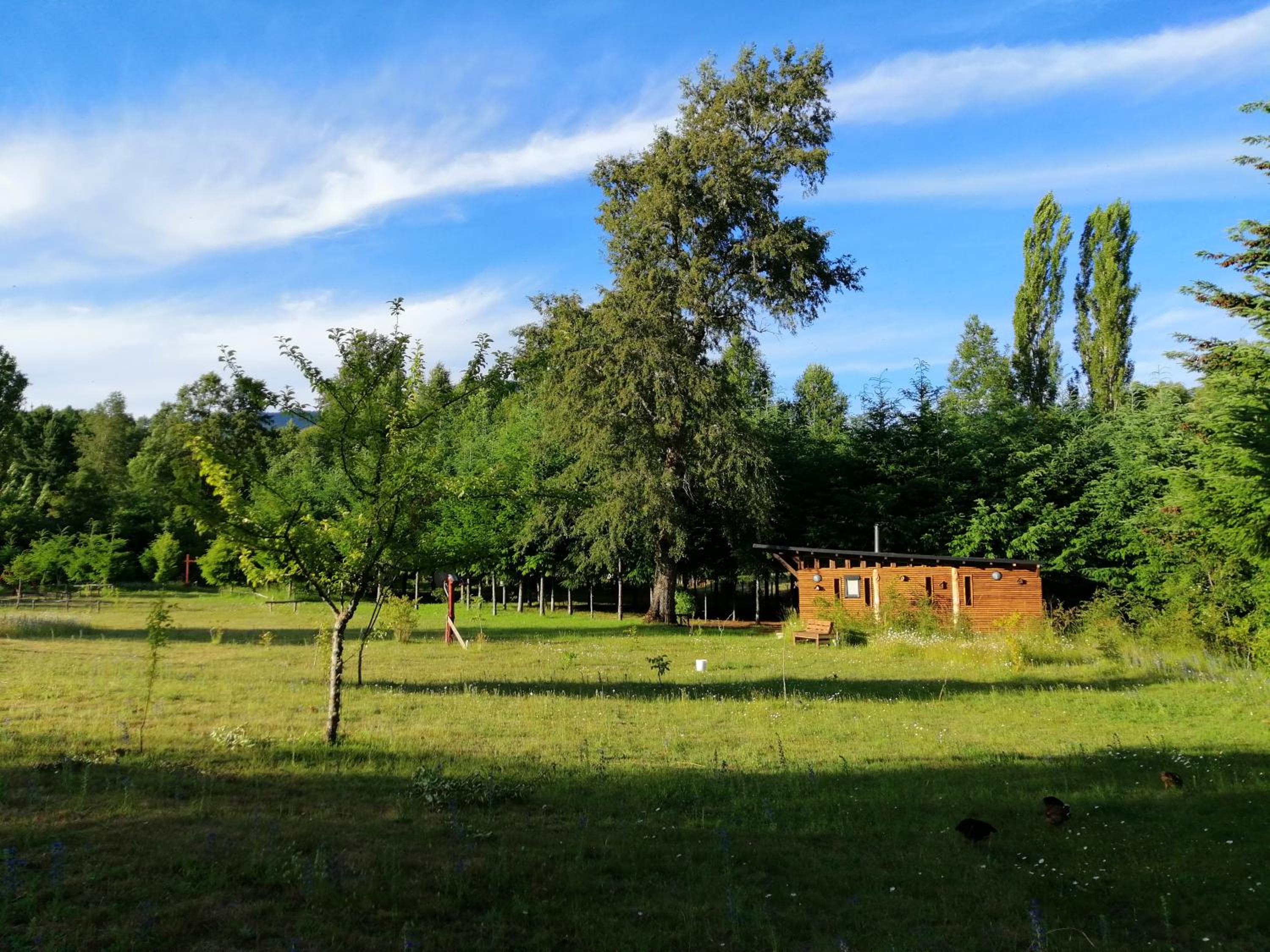 Brisas del llaima