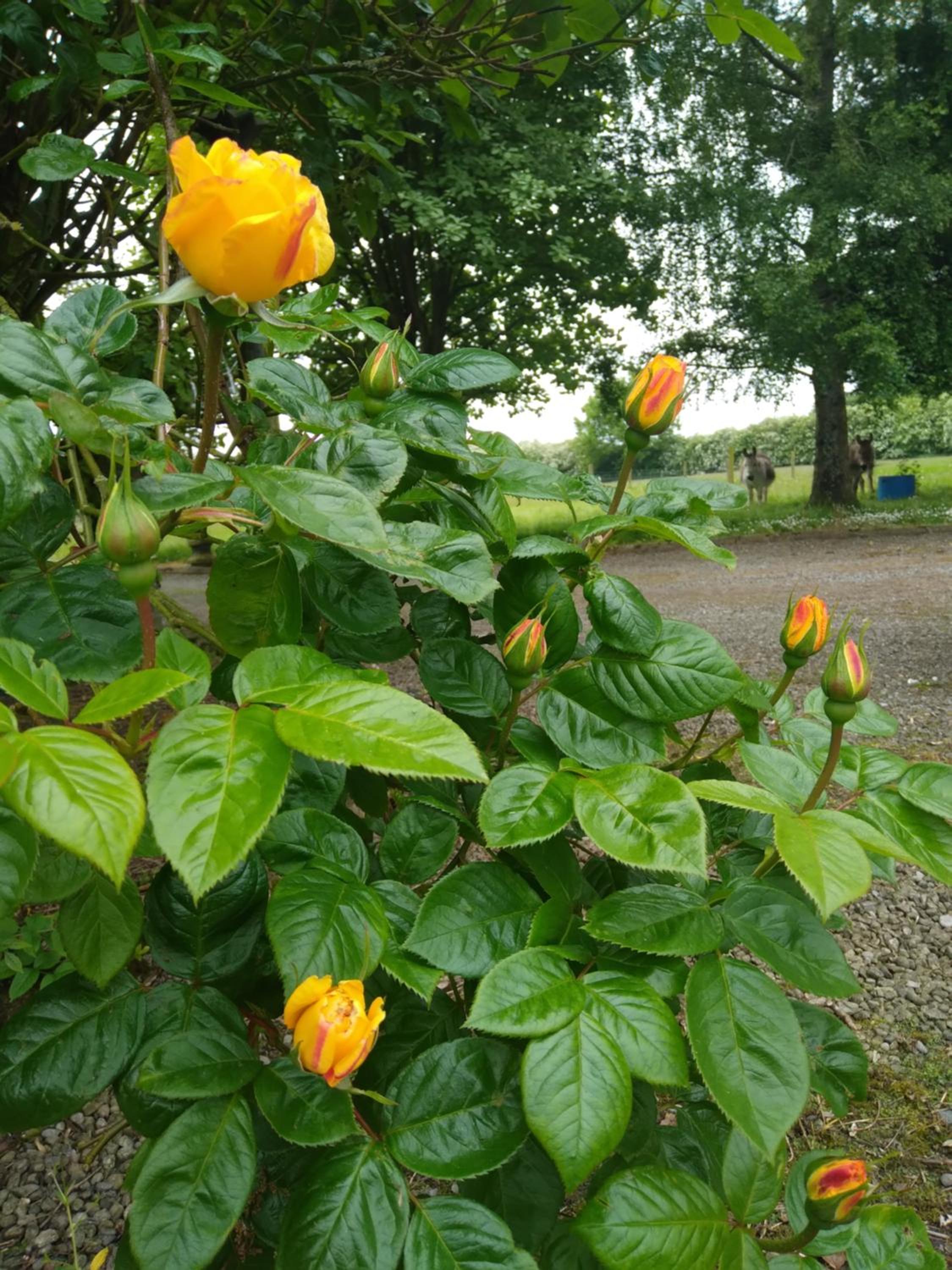 Photo 14