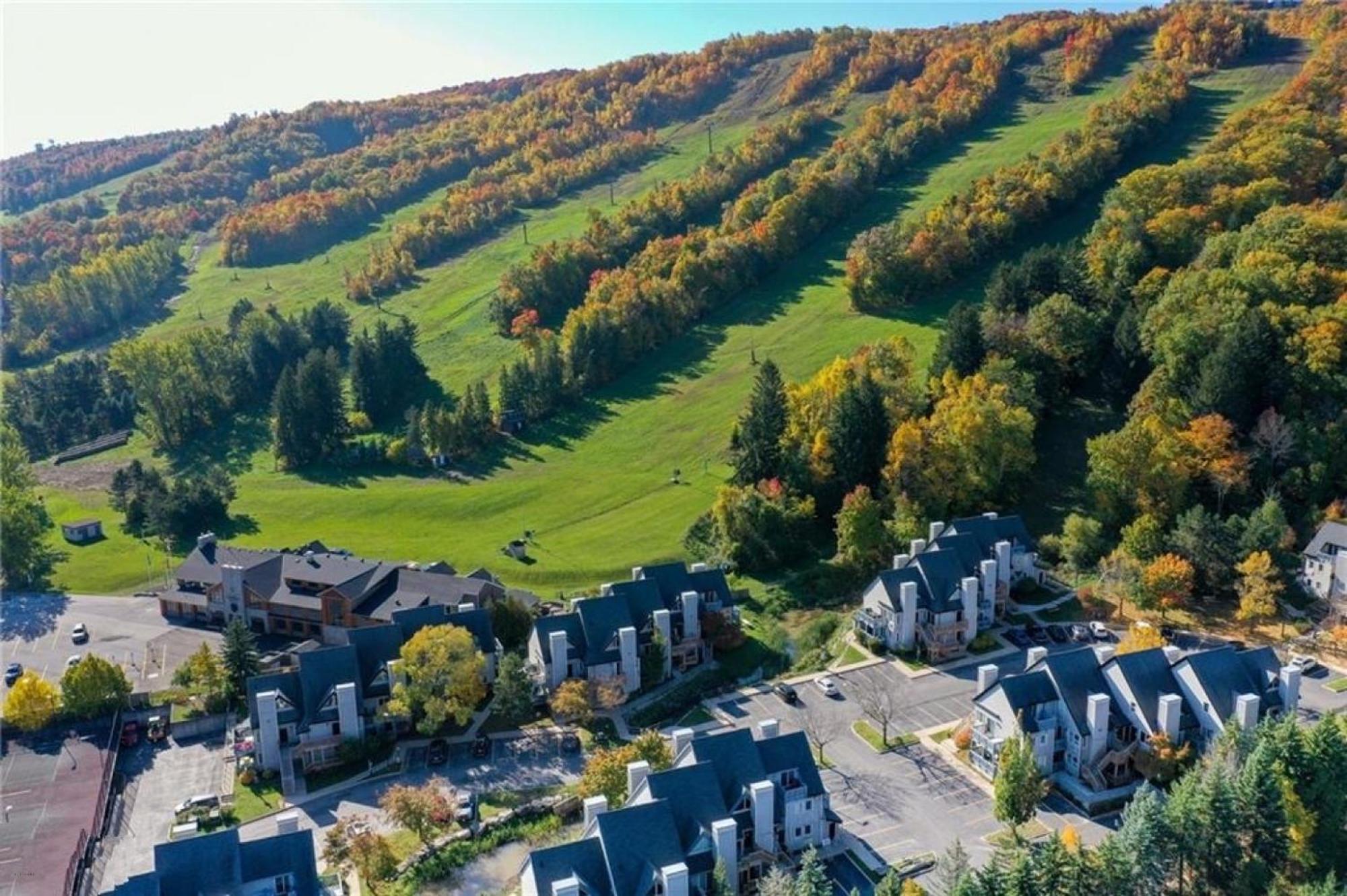 Blue Mountain at your Door Step