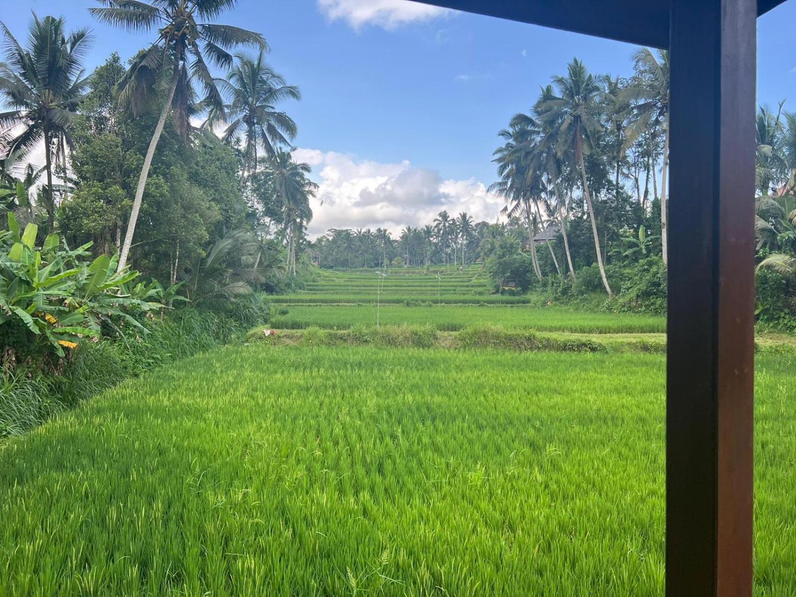 Ubud Sawah Scenery Villa and Homestay
