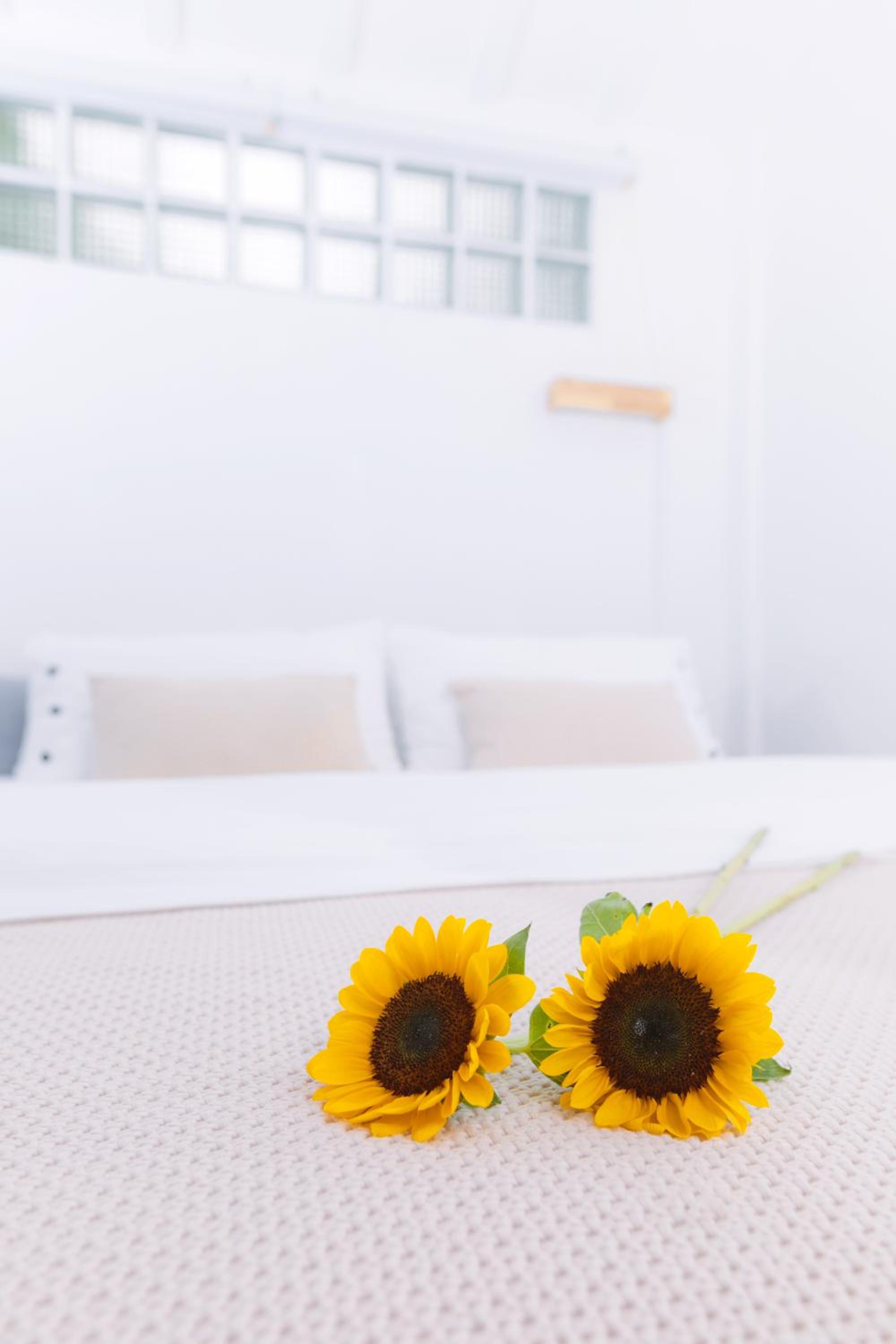 Ratchada Retreat Boutique Villa 1