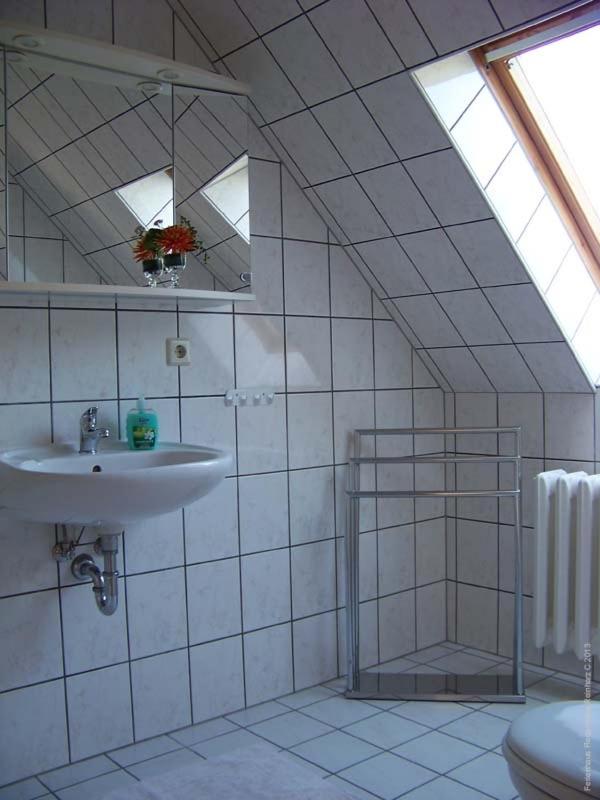 Haus Fledermaus