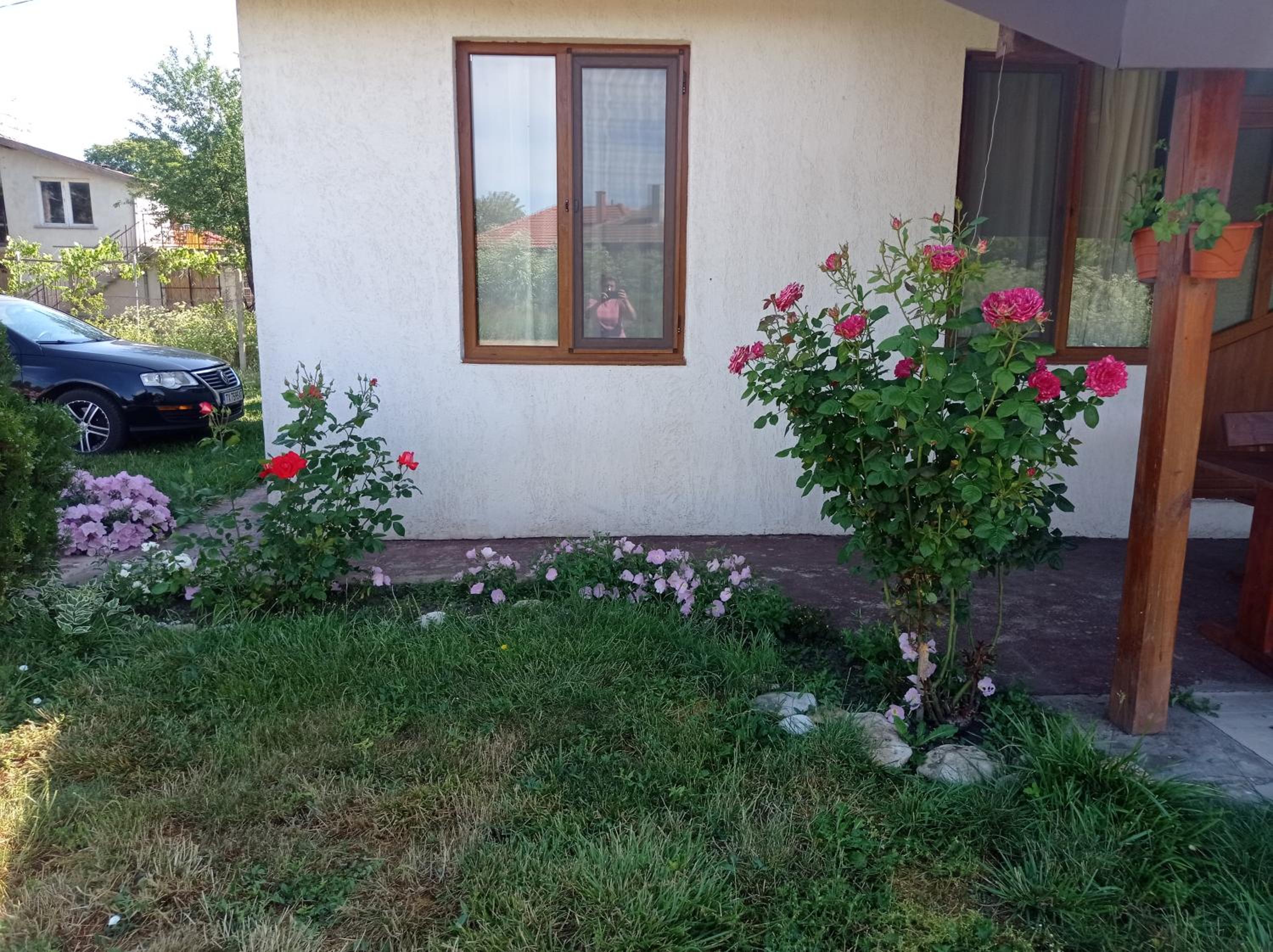 Photo 47