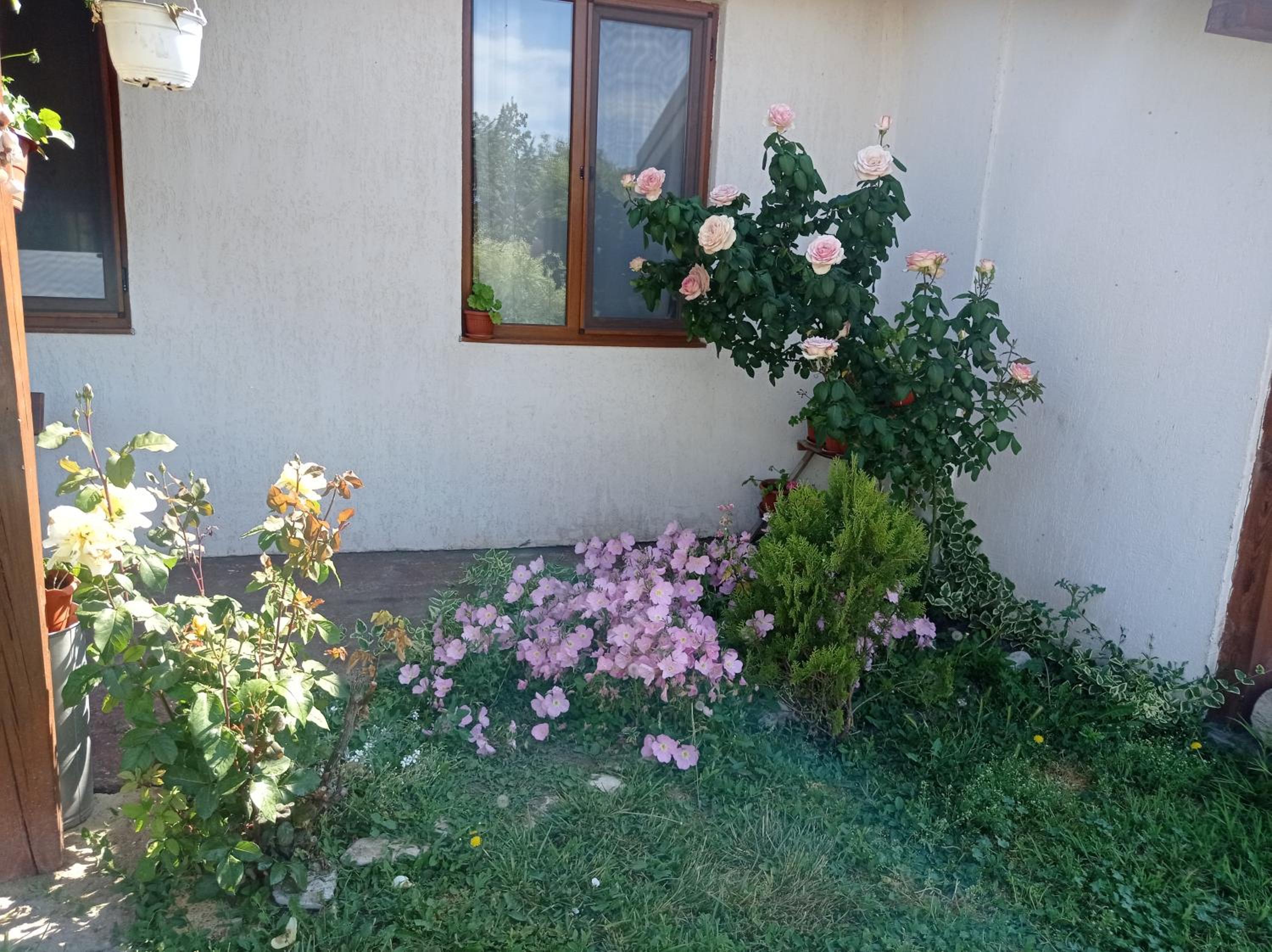 Photo 49