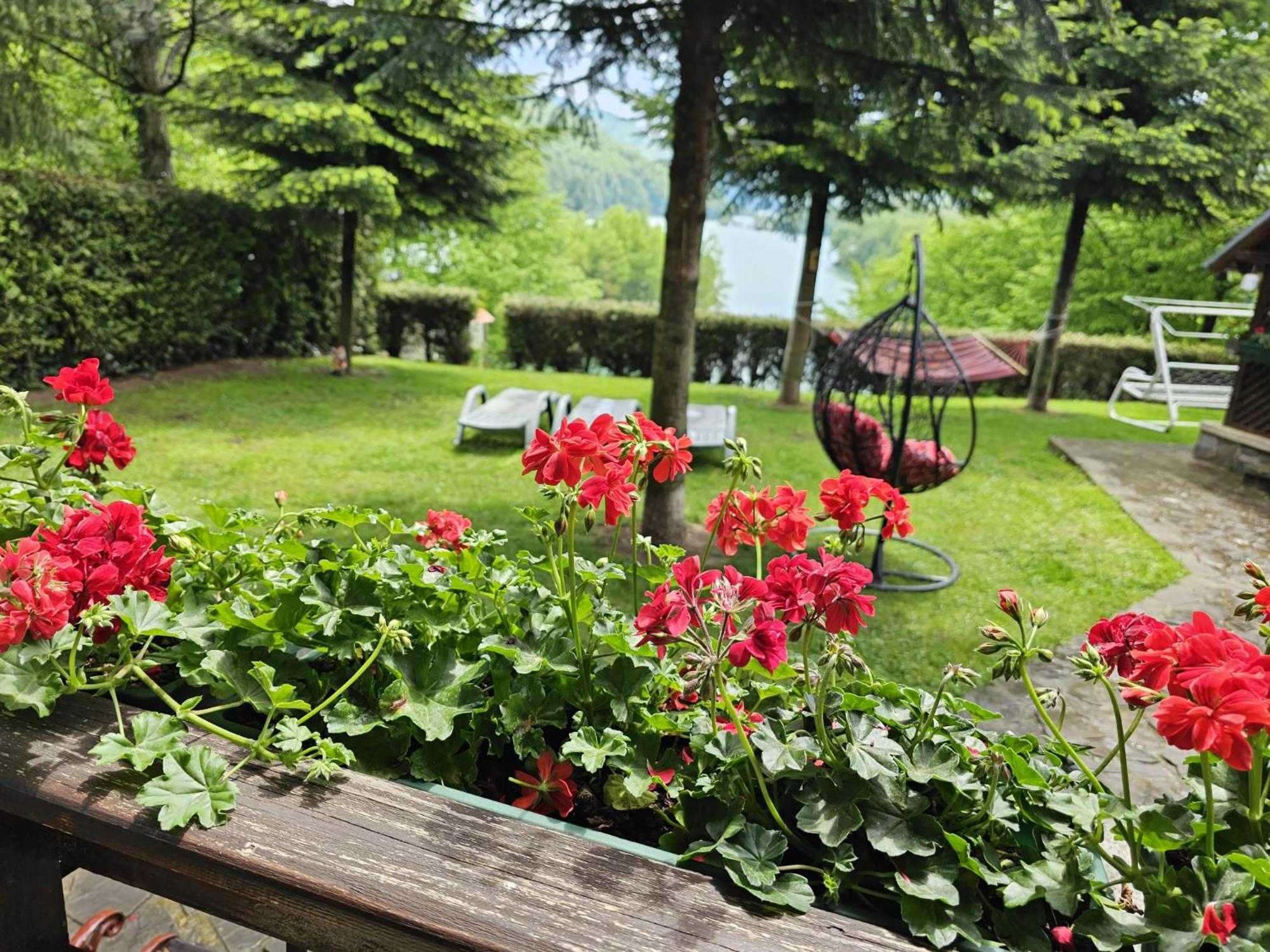 Cabana Casuta de Ciocolata