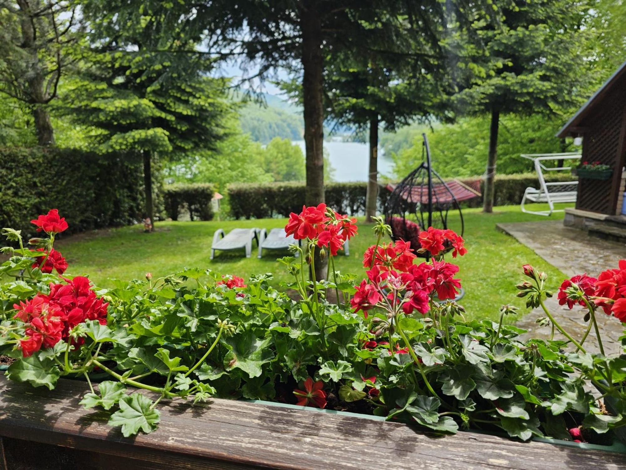 Cabana Casuta de Ciocolata