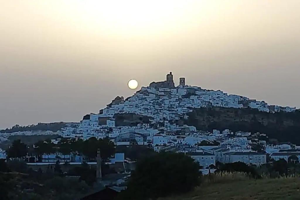 Casa Los Olivos