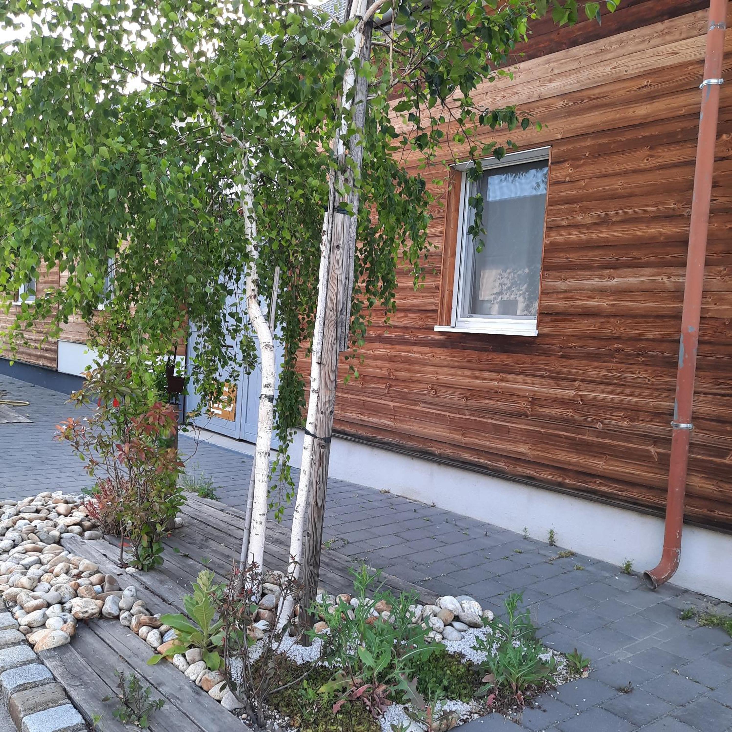 Ferienwohnung Fertsch