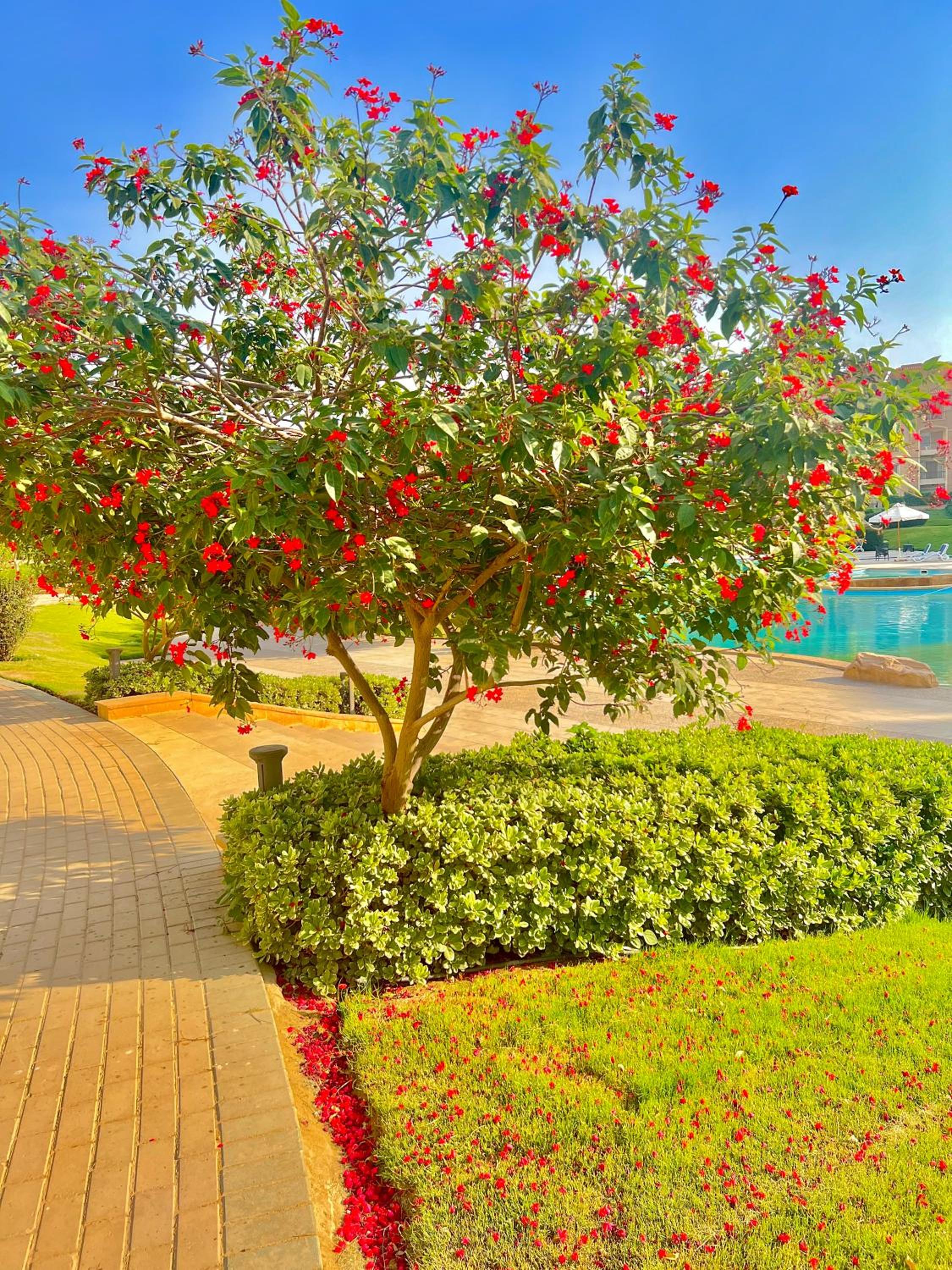 Ultra Luxury 3BR with Pools ,Sports ,Dining in Gated compound, Close to all sites
