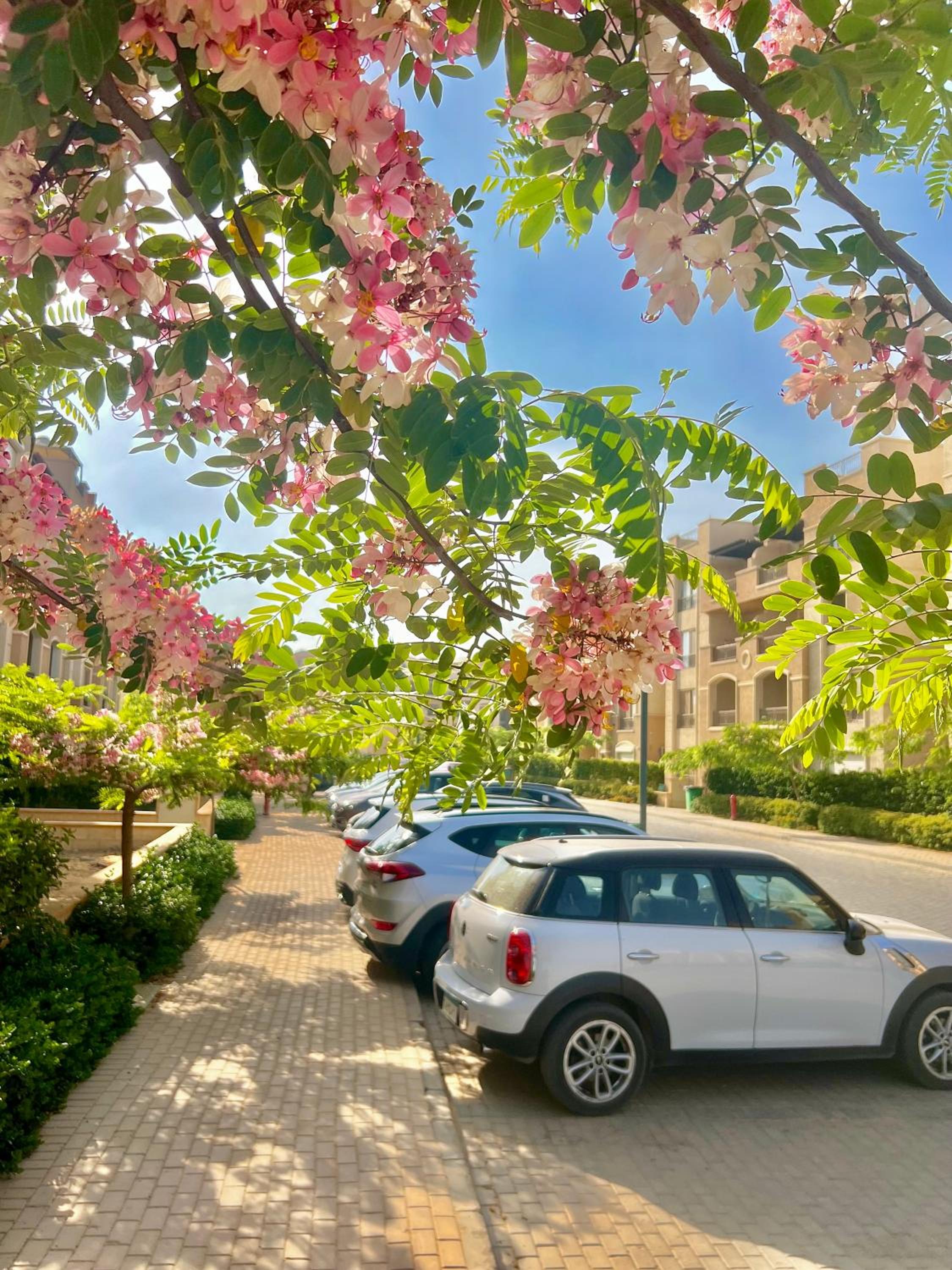Ultra Luxury 3BR with Pools ,Sports ,Dining in Gated compound, Close to all sites