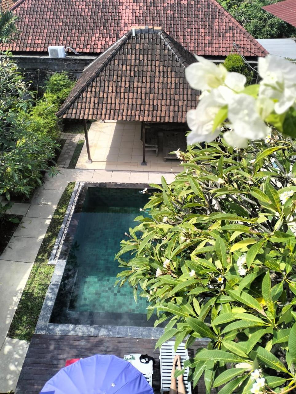 The Island Bali view 5