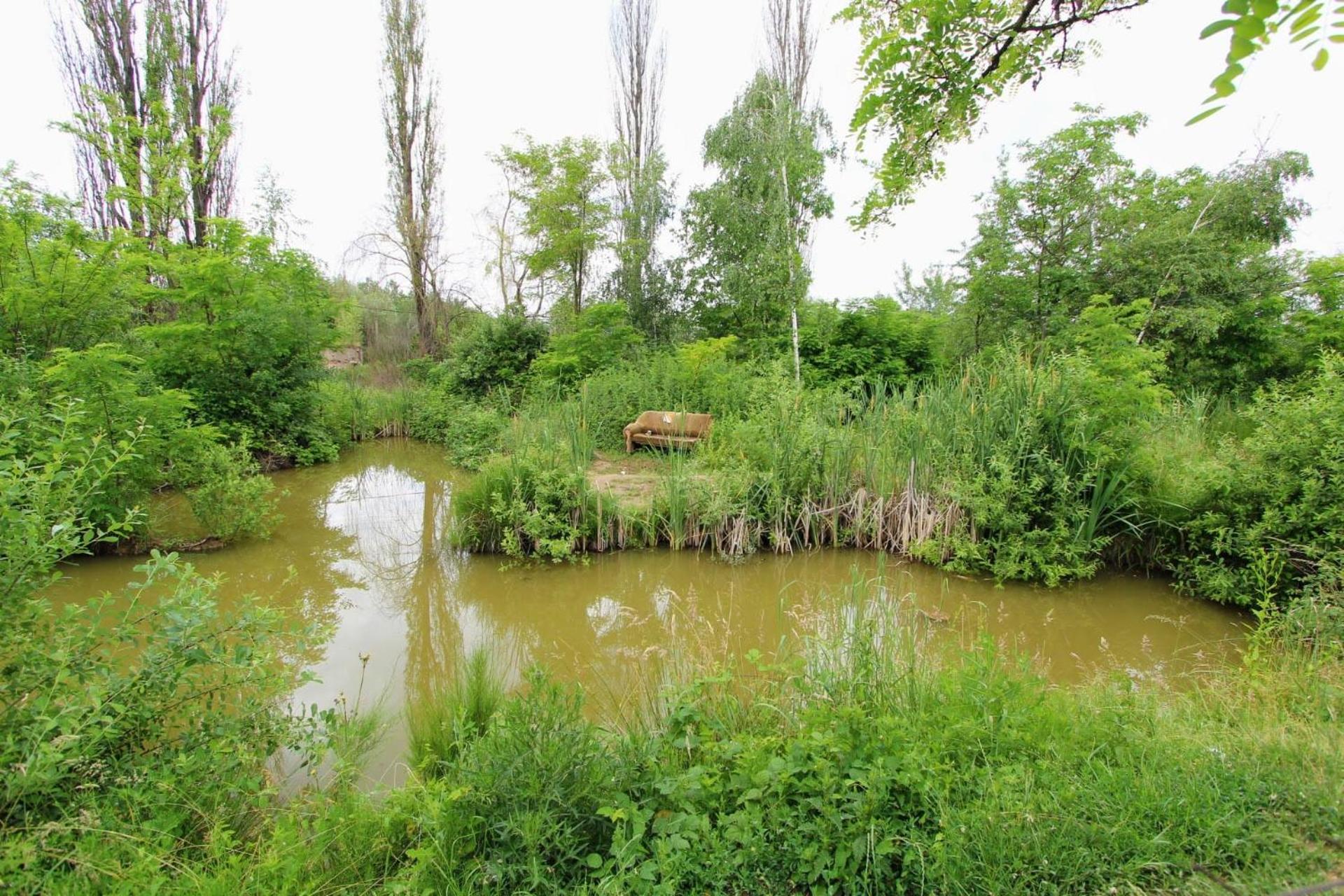 Photo 39