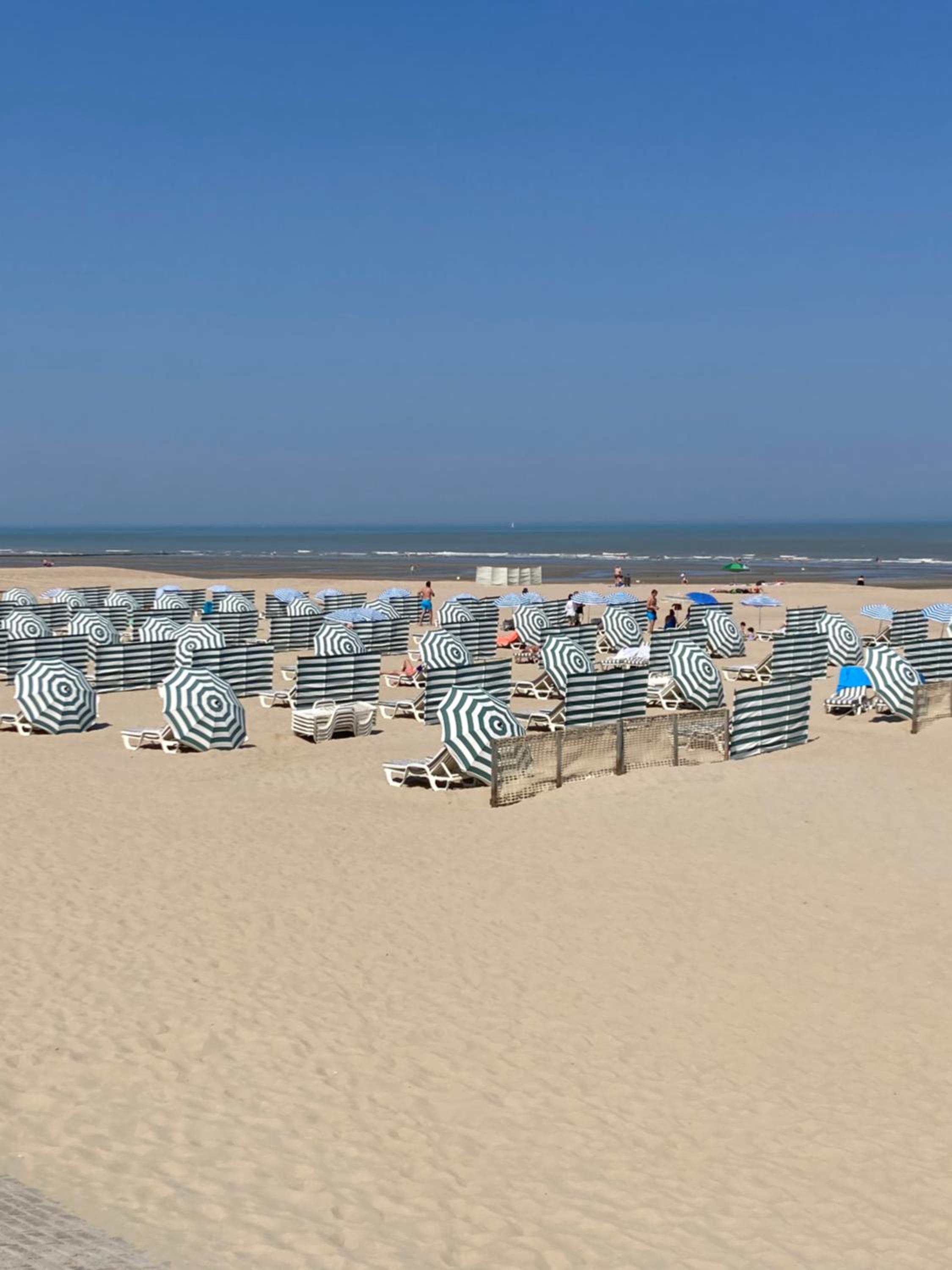 Strandstudio in hartje Koksijde