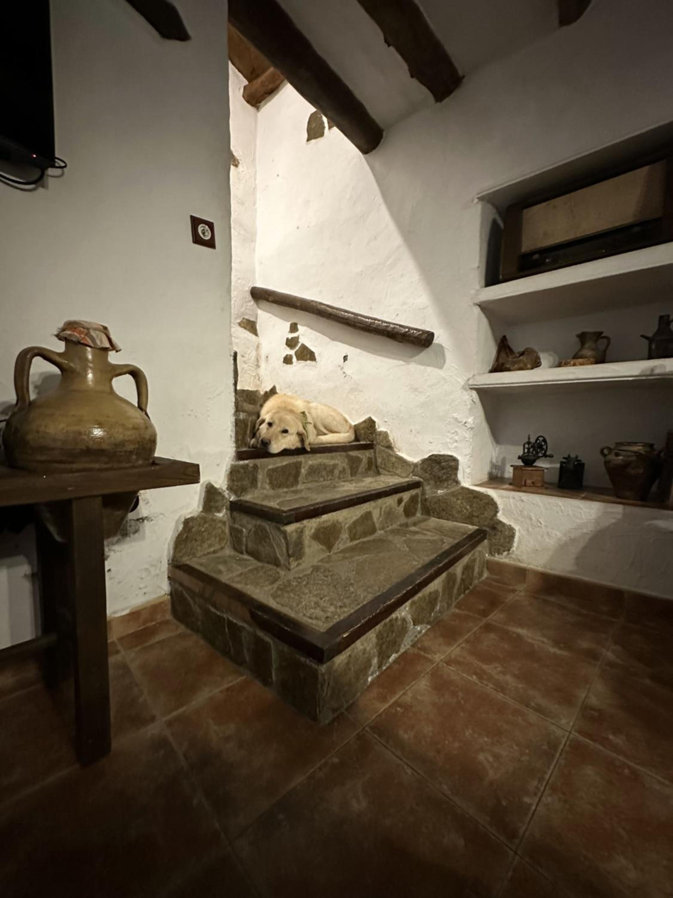 Molino Laroya