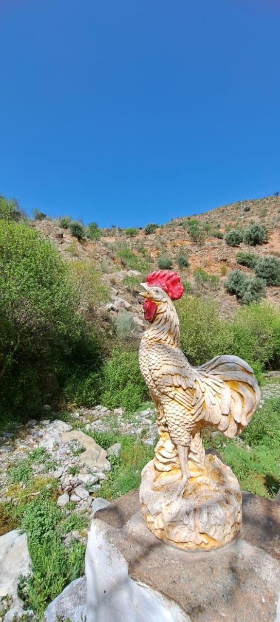 Molino Laroya
