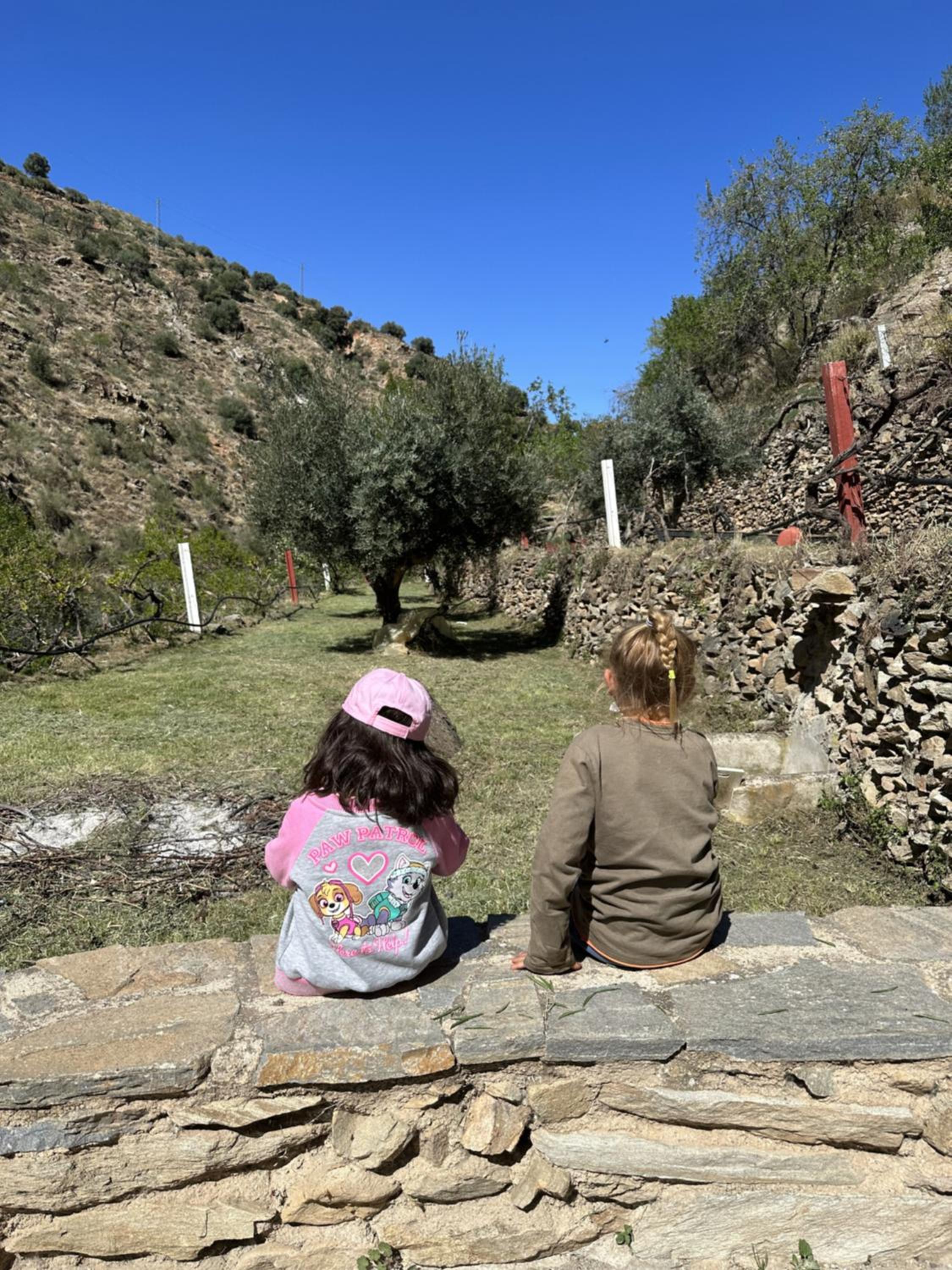 Molino Laroya