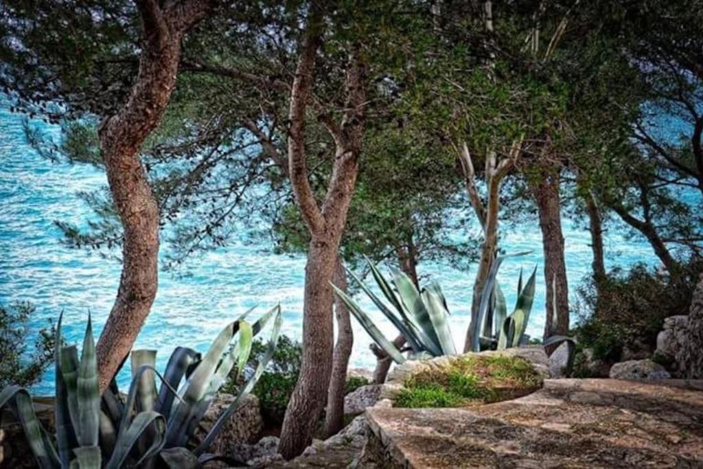 Carulli, Salento e Relax. view 3