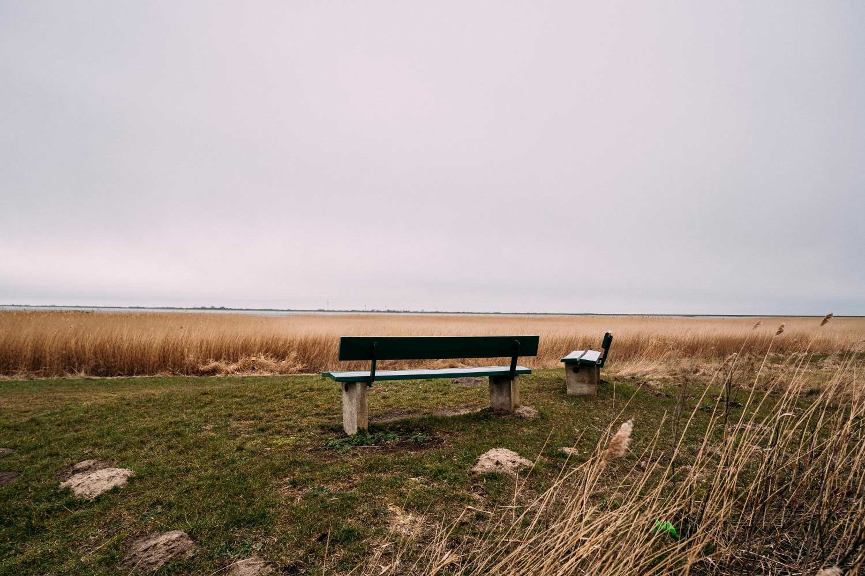 Meeressuite Husum
