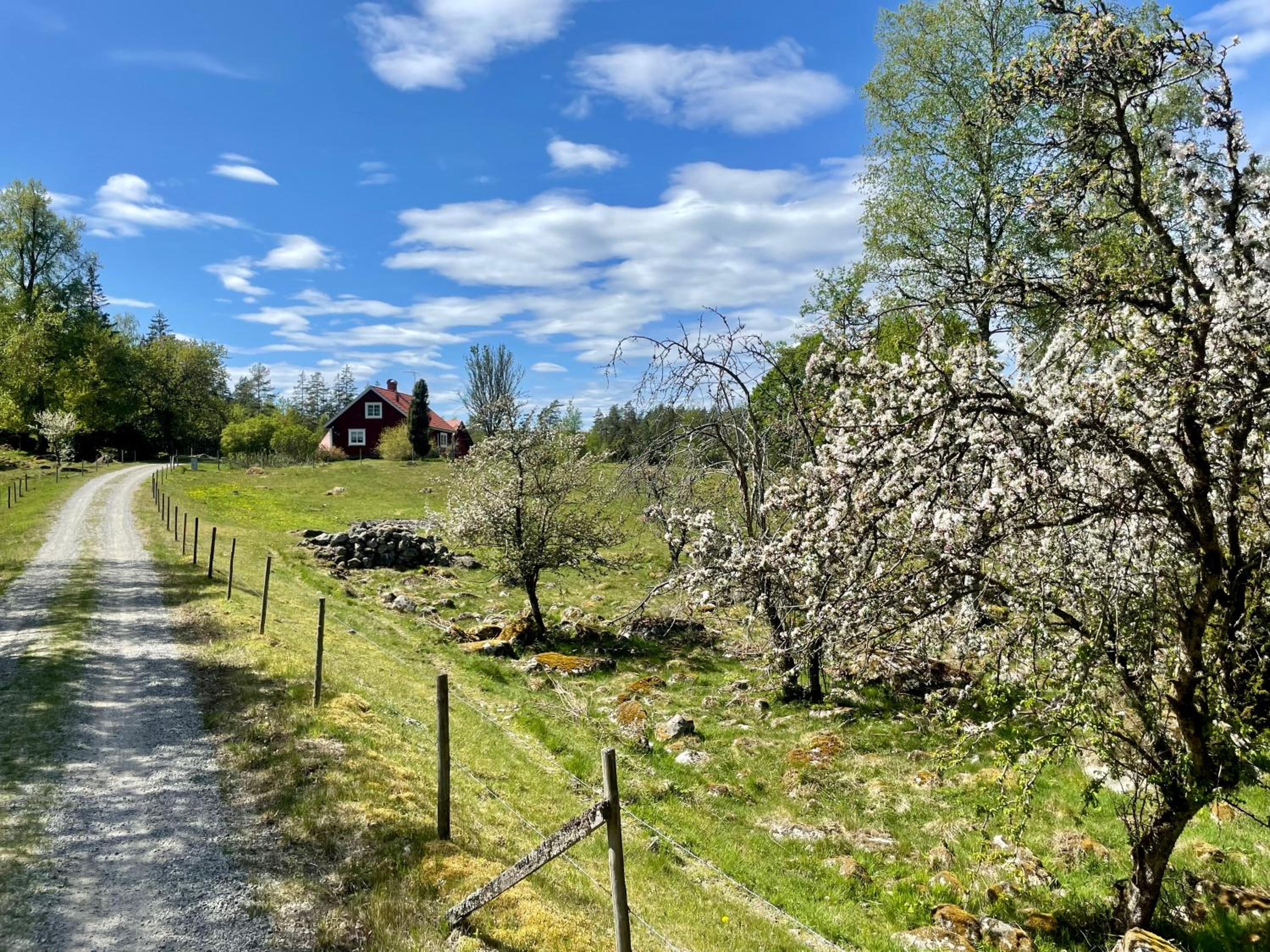 Holiday home Småland Gäddegölshult