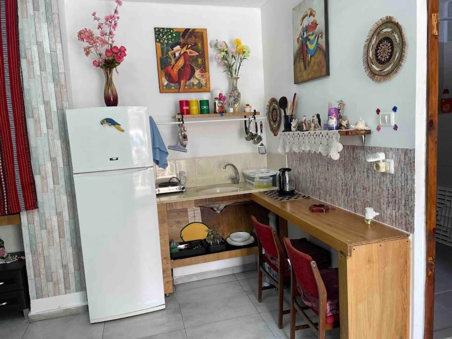 Wadi Nisnas Vintage Apartment