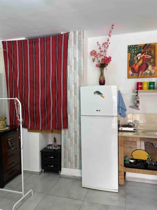 Wadi Nisnas Vintage Apartment