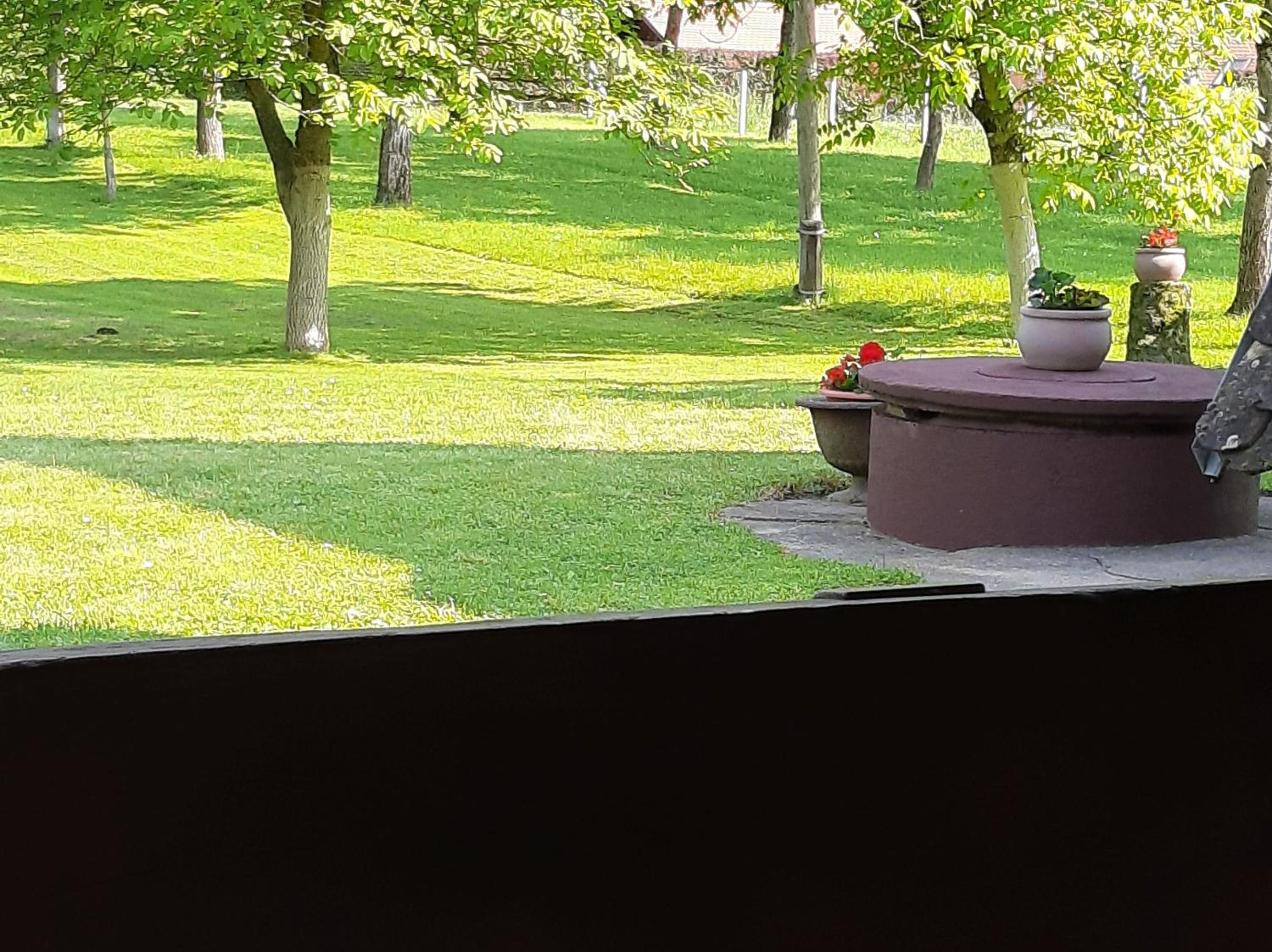 Holiday Home Bojko view 4