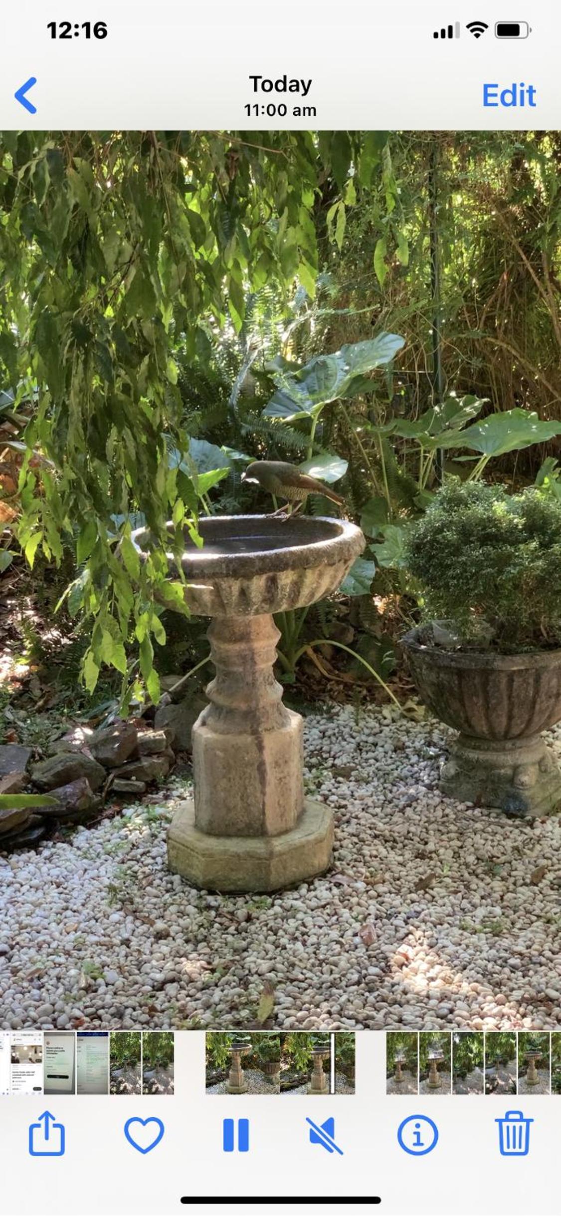 Garden studio